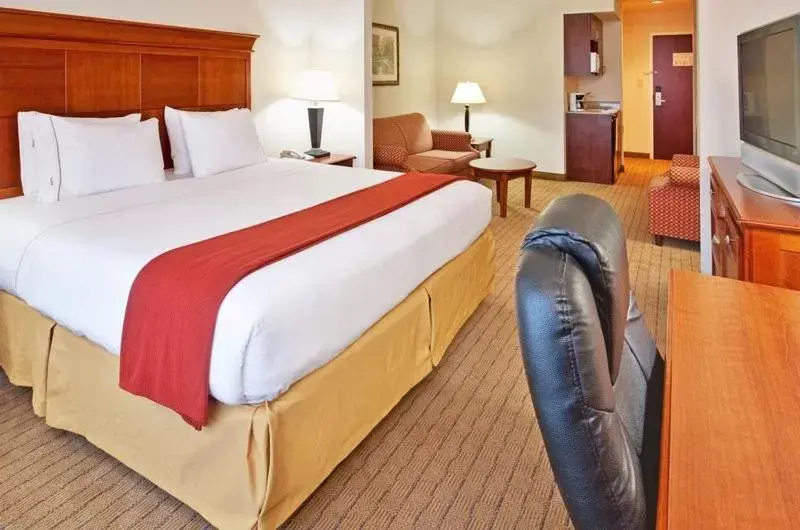 Photo of the whole room, Room Photo in Holiday Inn Express & Suites Dyersburg, an IHG Hotel