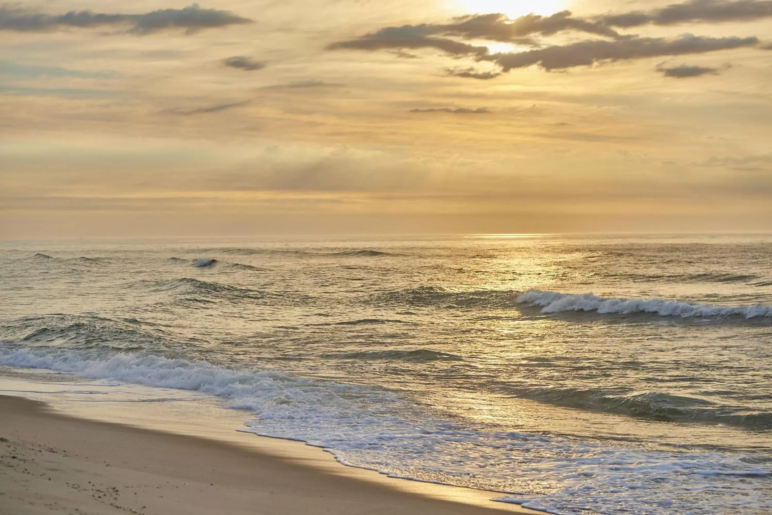 Beach in Drifting Sands Oceanfront Hotel