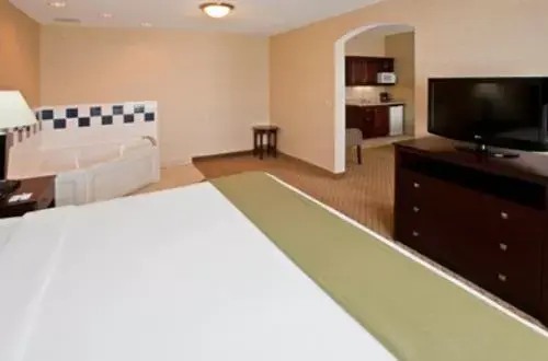 Executive Suite - Non-Smoking in Holiday Inn Express Hotel & Suites Anderson, an IHG Hotel