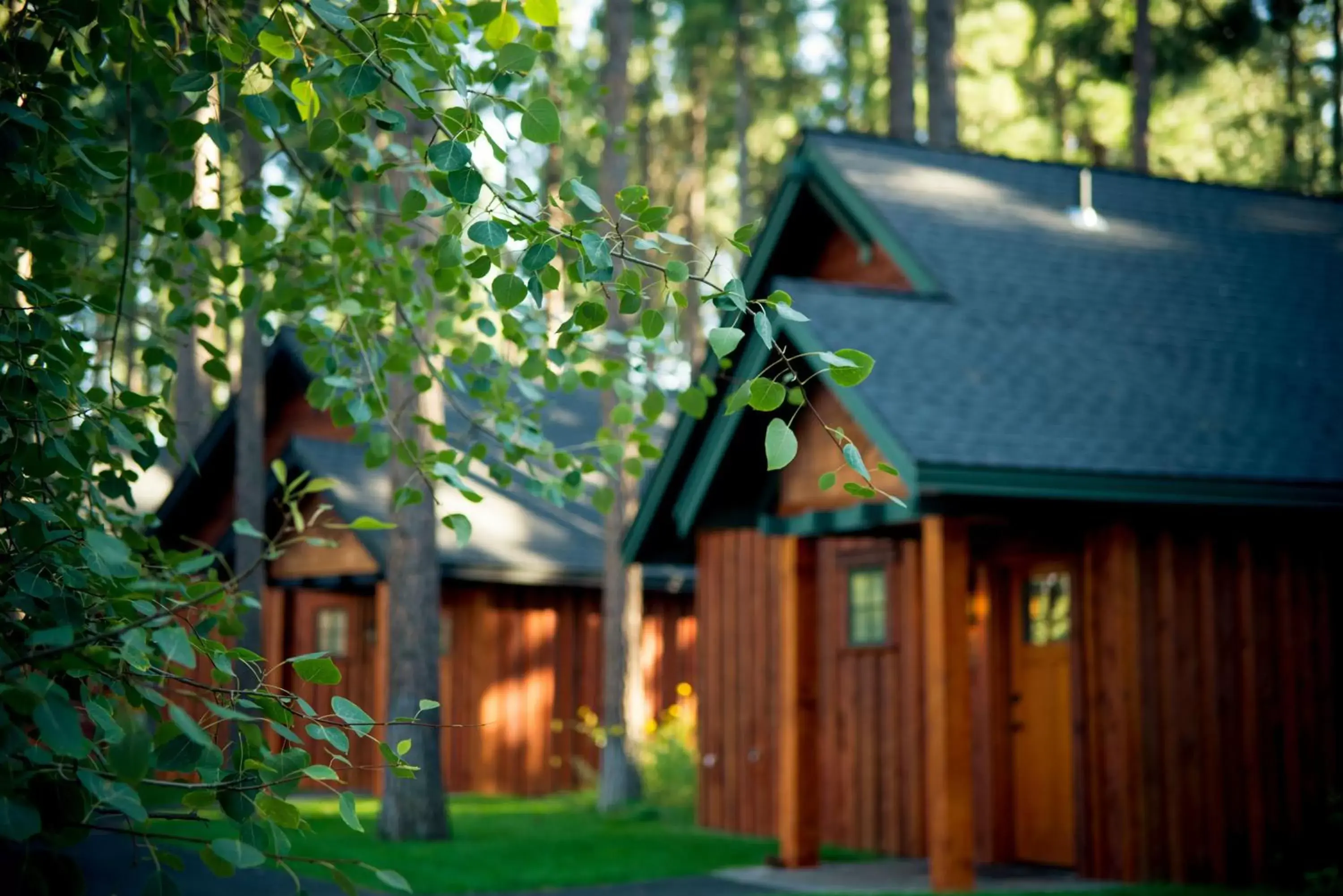 Area and facilities, Property Building in FivePine Lodge