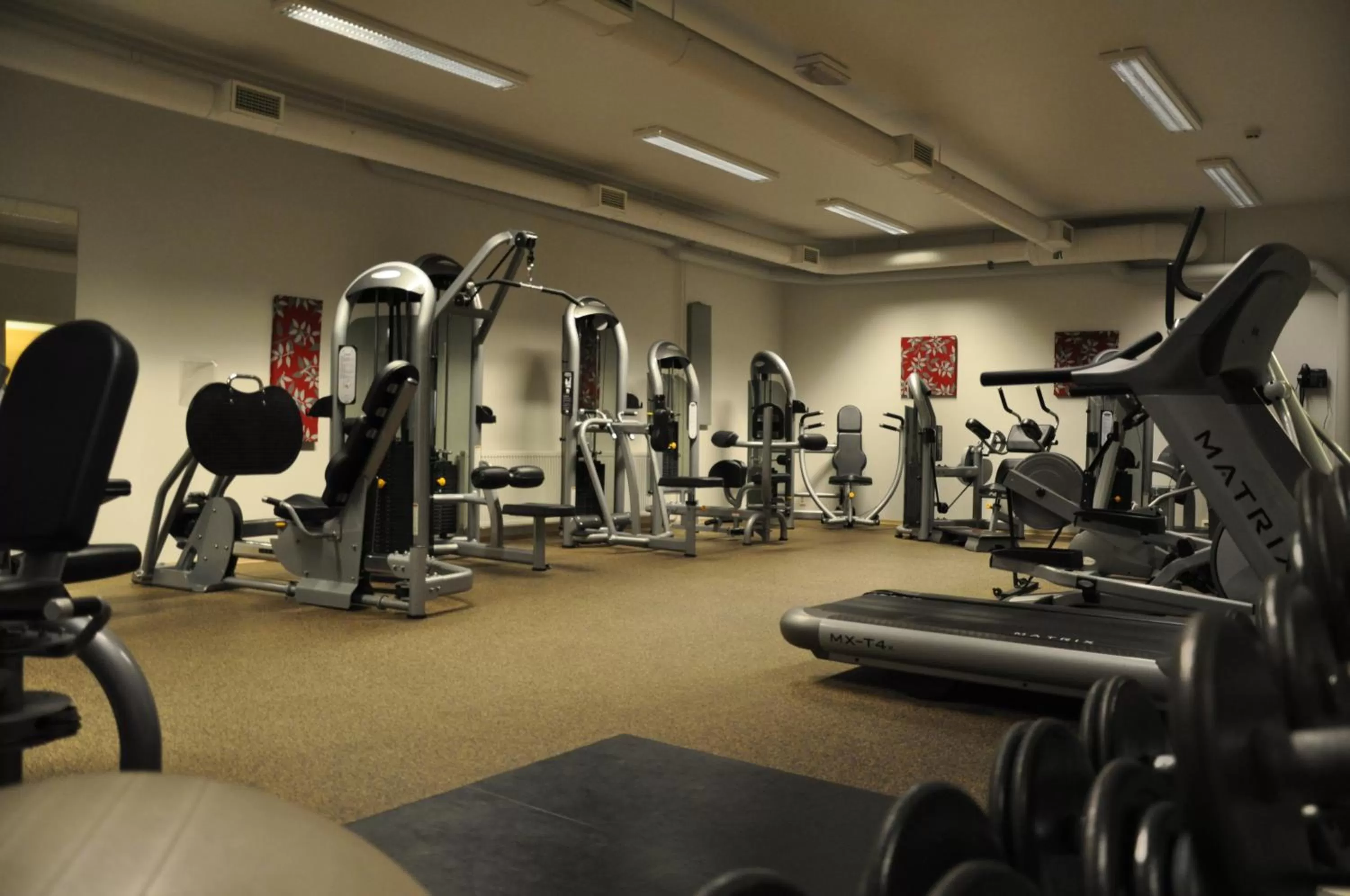 Fitness centre/facilities, Fitness Center/Facilities in Hotelli Kivitippu