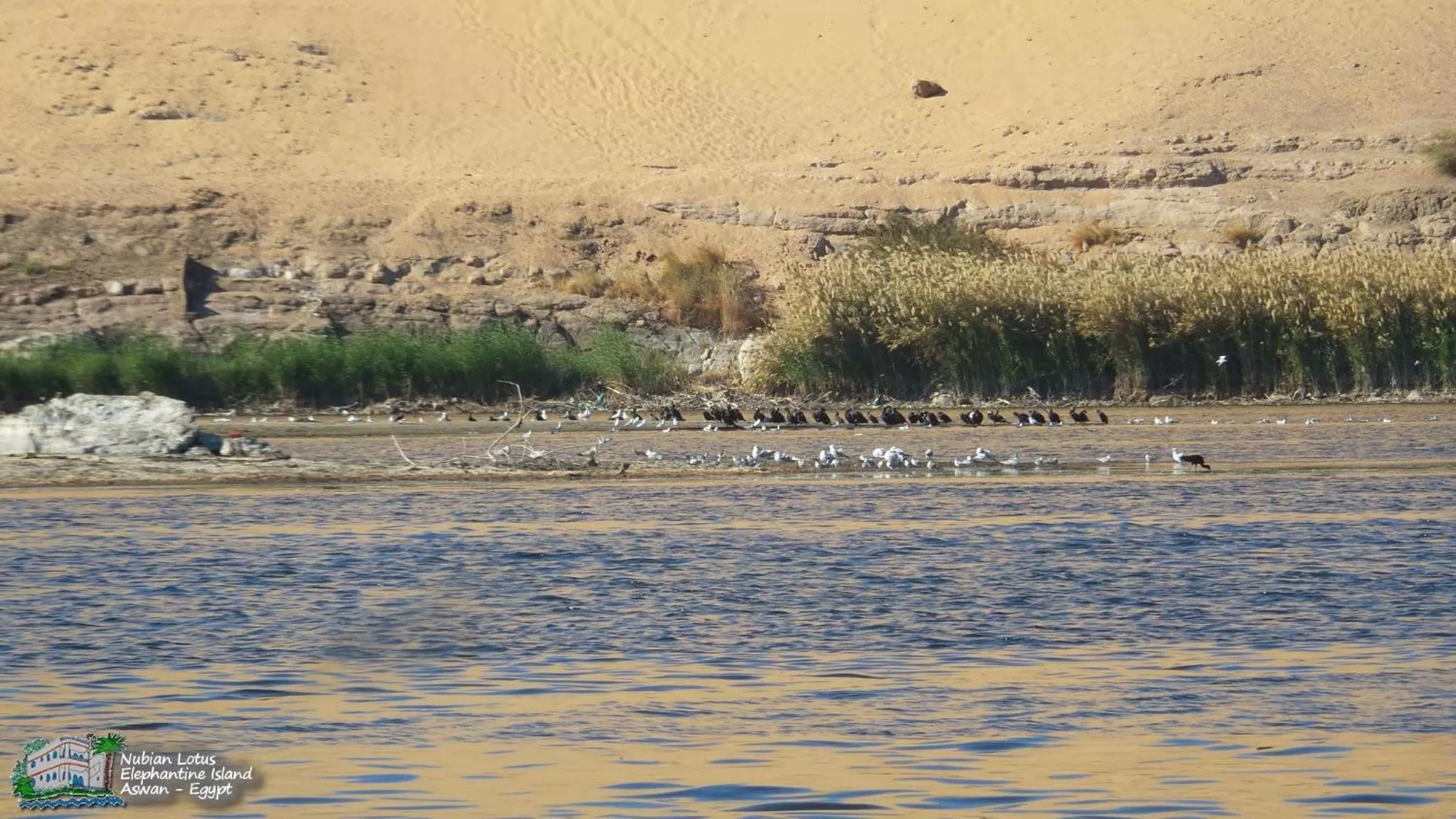 Property building in Nubian Lotus