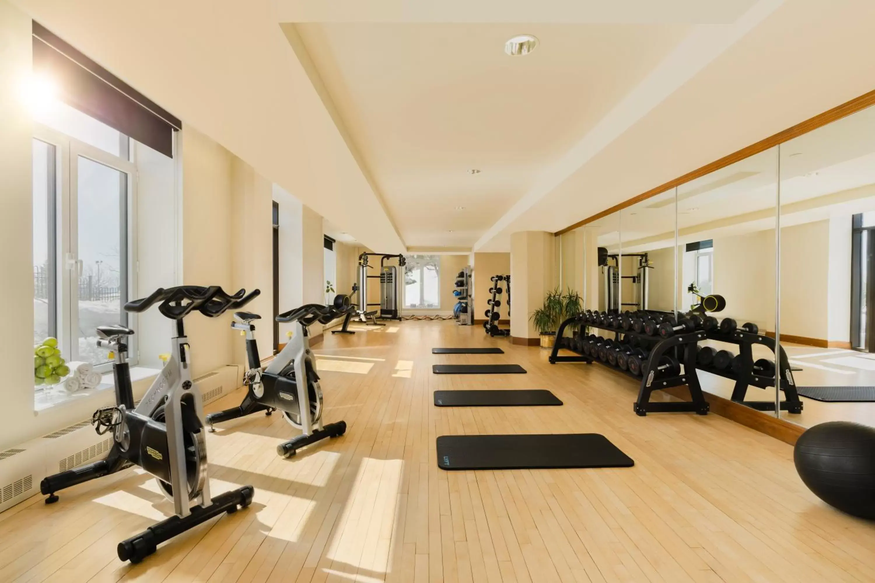 Fitness centre/facilities, Fitness Center/Facilities in Fairmont Le Manoir Richelieu