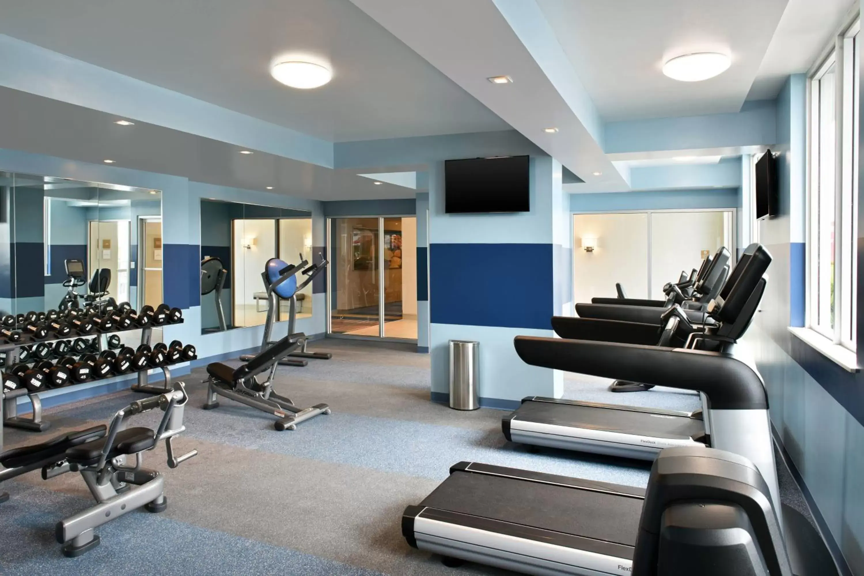Fitness centre/facilities, Fitness Center/Facilities in Four Points by Sheraton Coral Gables