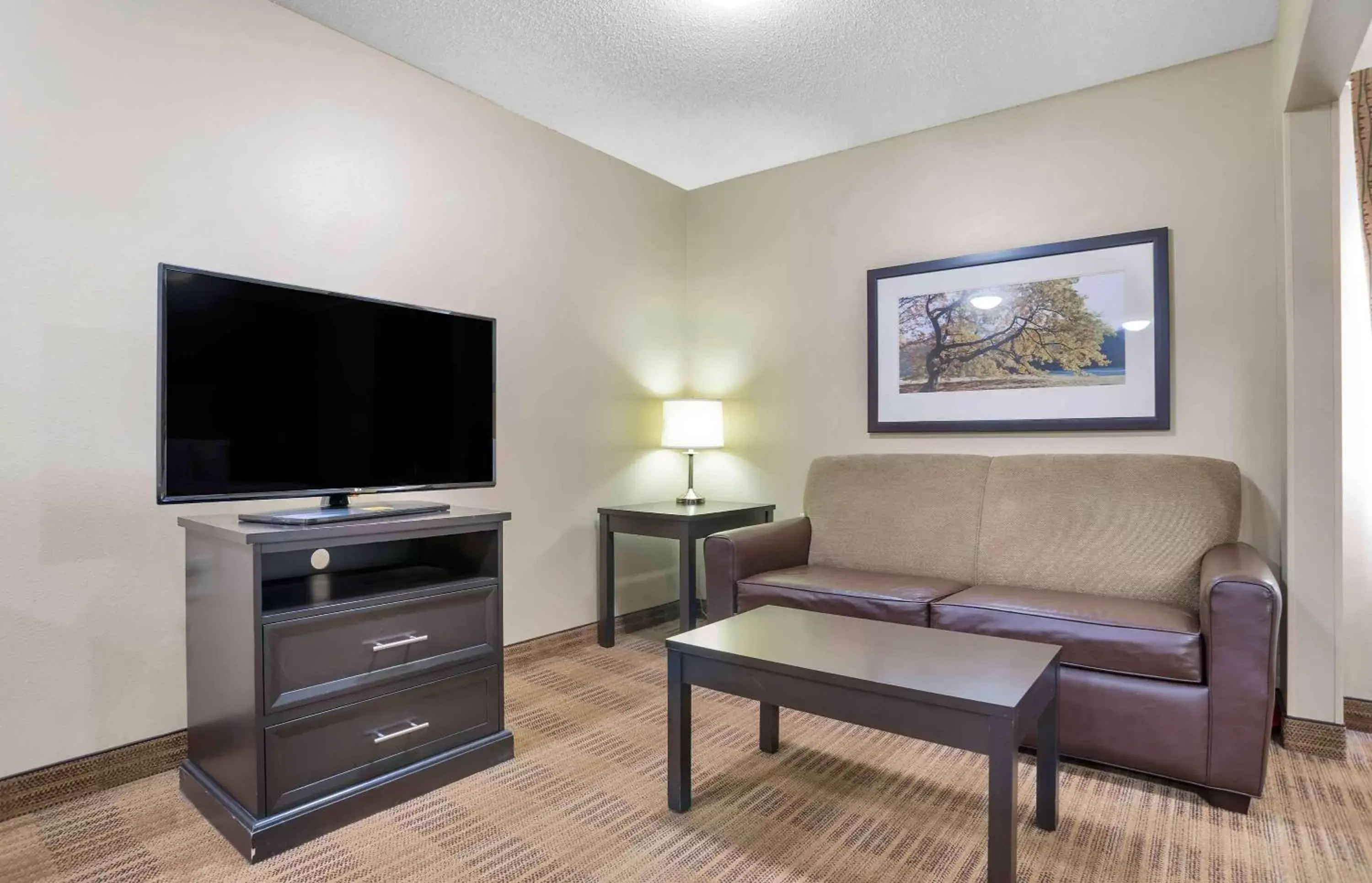 Bedroom, TV/Entertainment Center in Extended Stay America Select Suites - Birmingham - Inverness