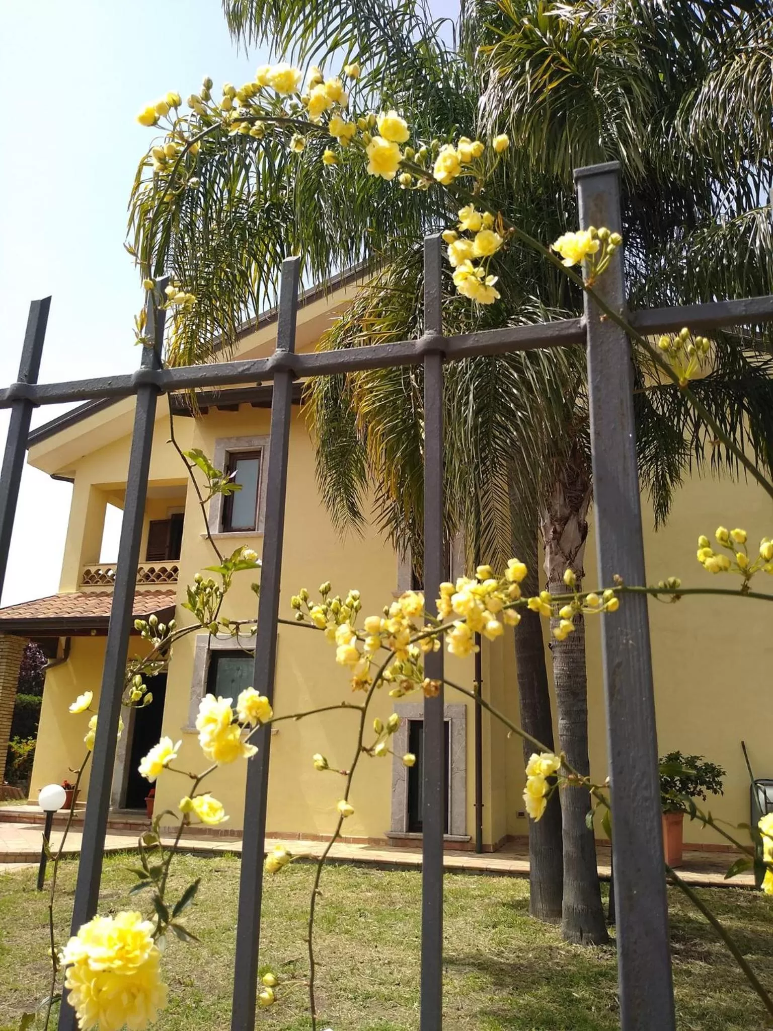 Garden, Children's Play Area in Villa Magnolia B&B