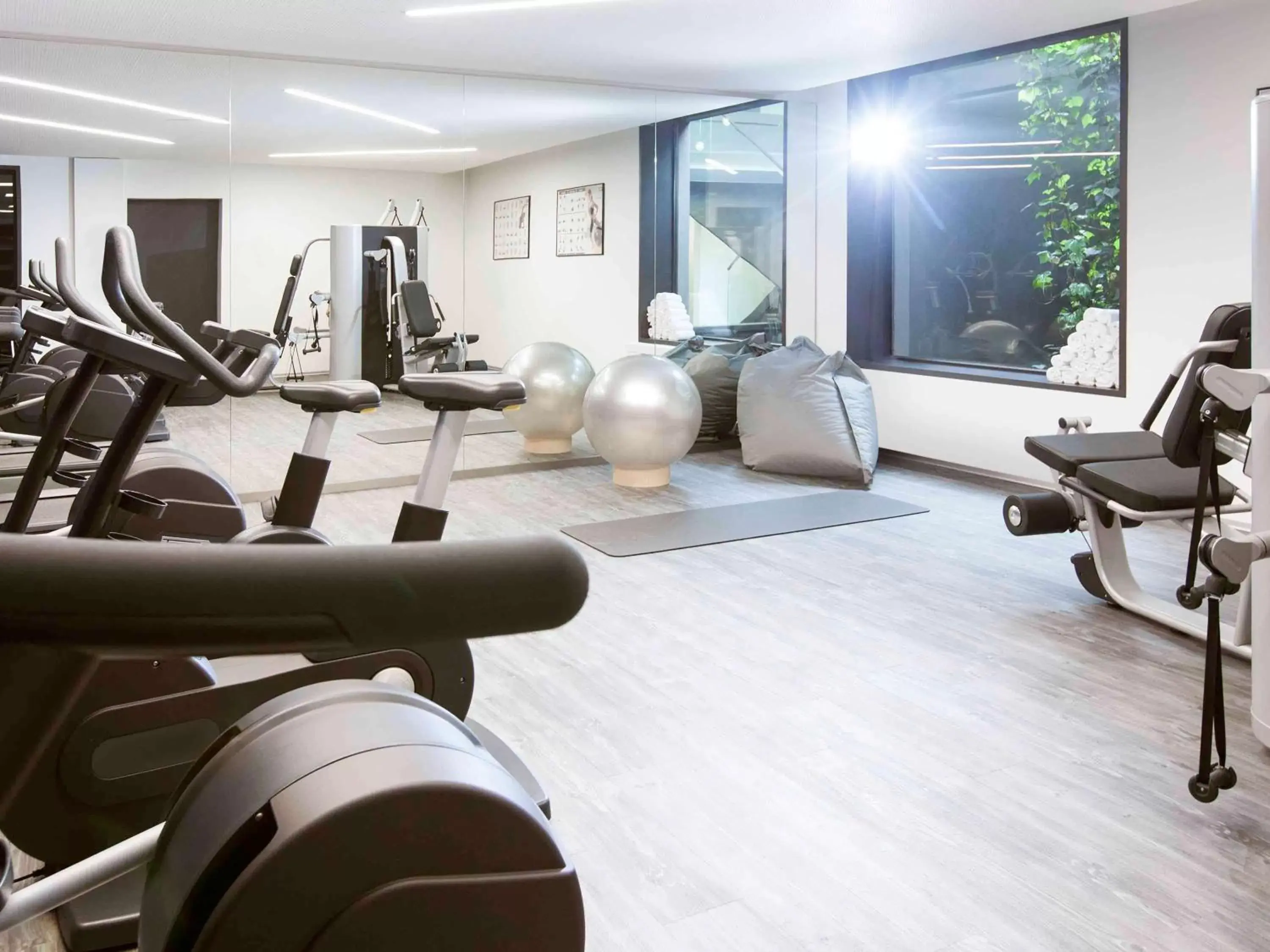 Fitness centre/facilities, Fitness Center/Facilities in Novotel Basel City
