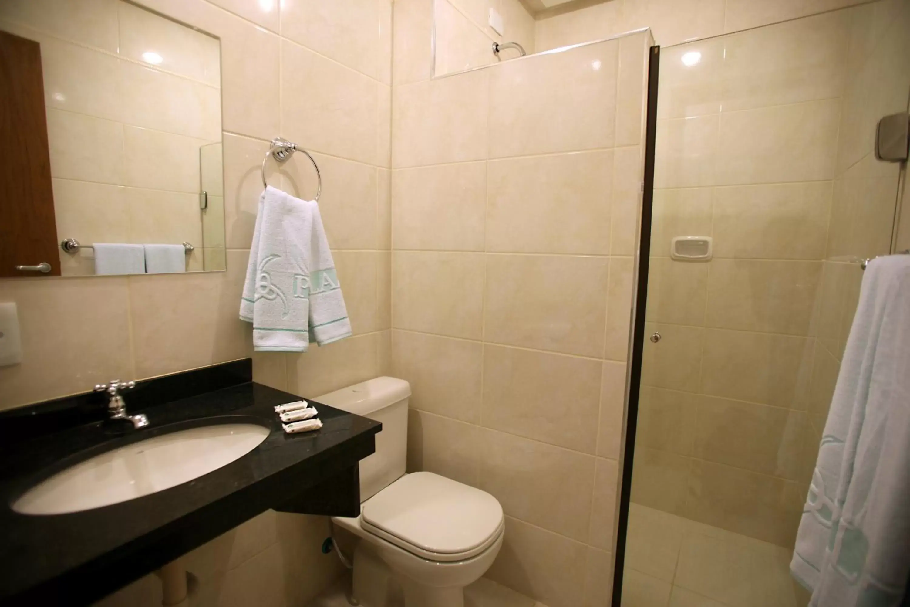 Bathroom in Soneca Plaza Hotel