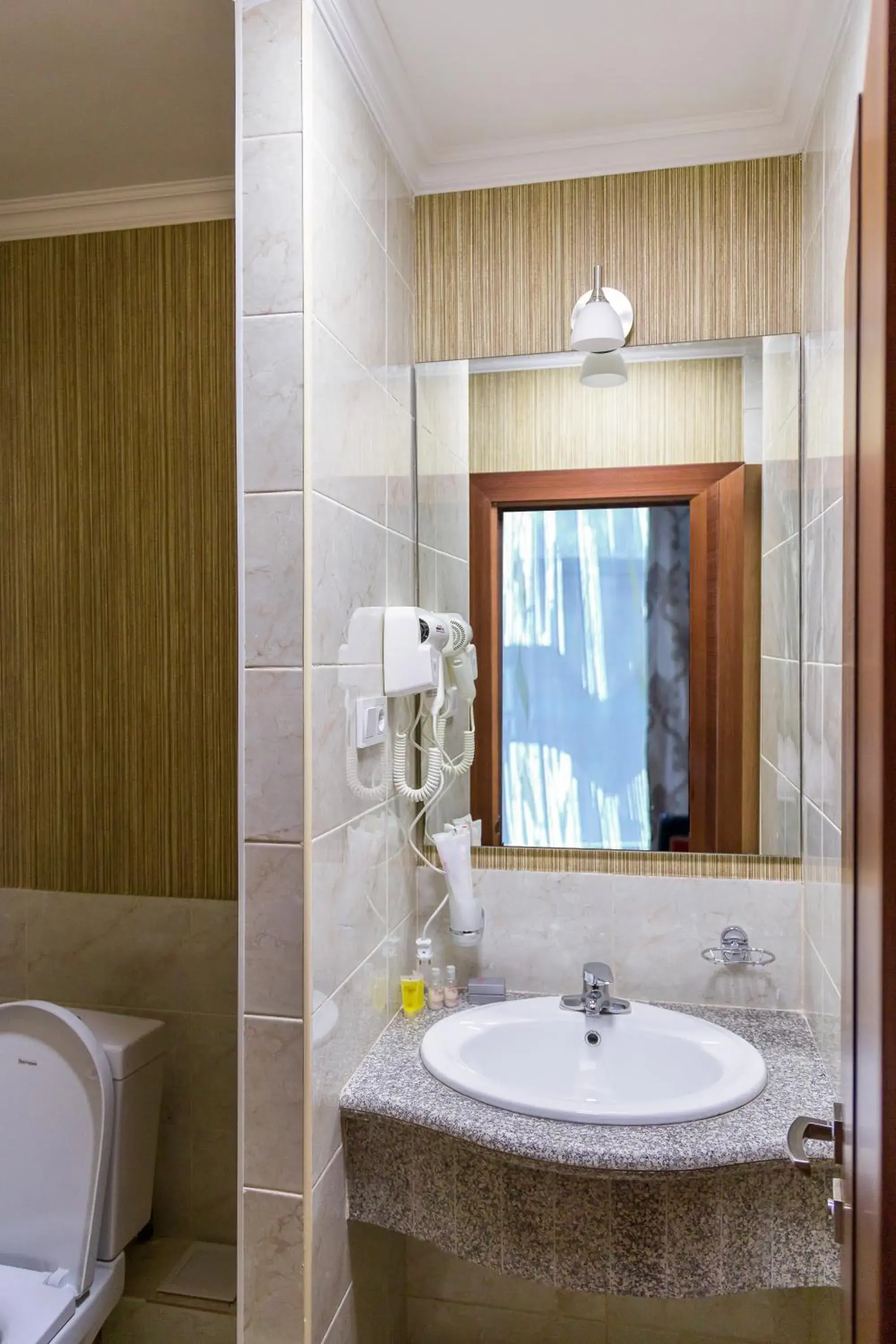 Toilet, Bathroom in Grand Hotel Eurasia