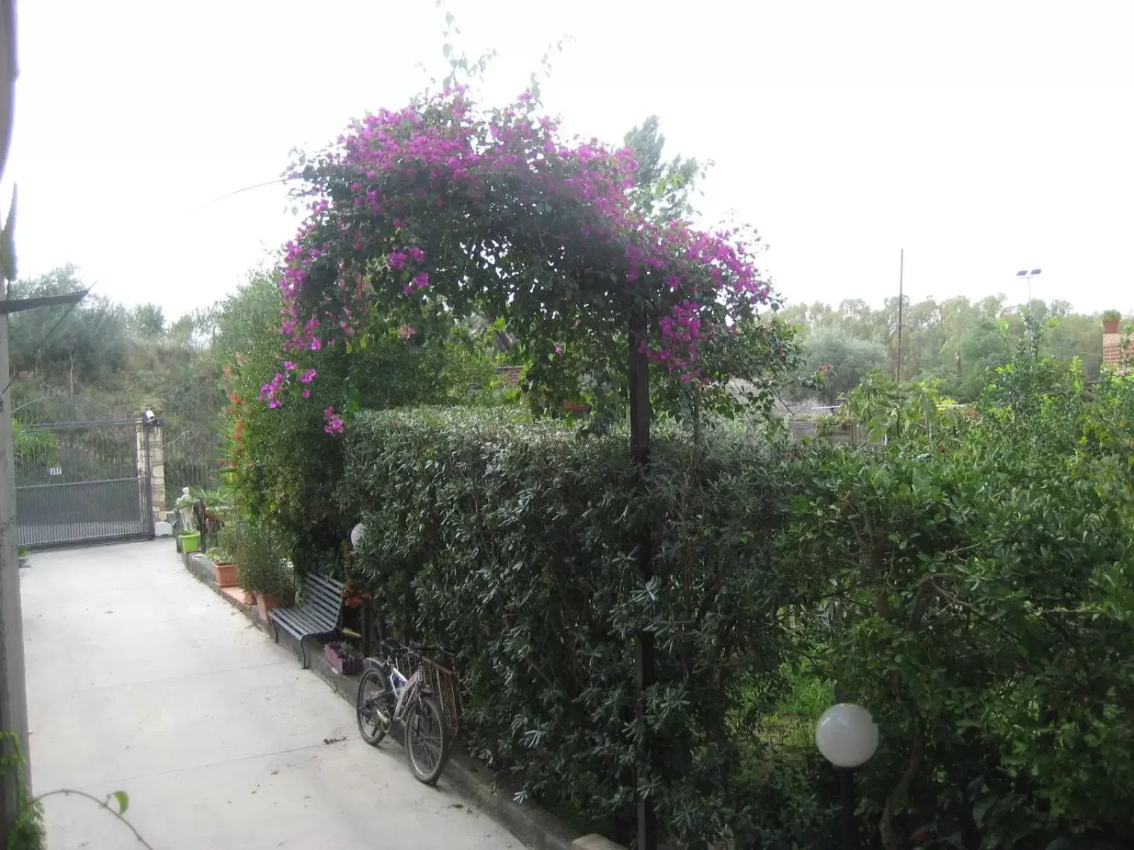 Inner courtyard view in Oasi del Lago