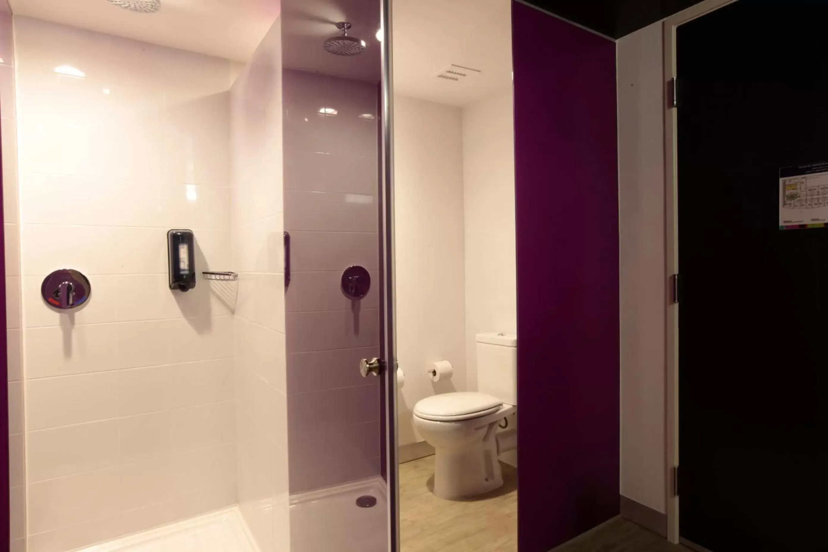 Decorative detail, Bathroom in Ibis Styles Mexico Zona Rosa