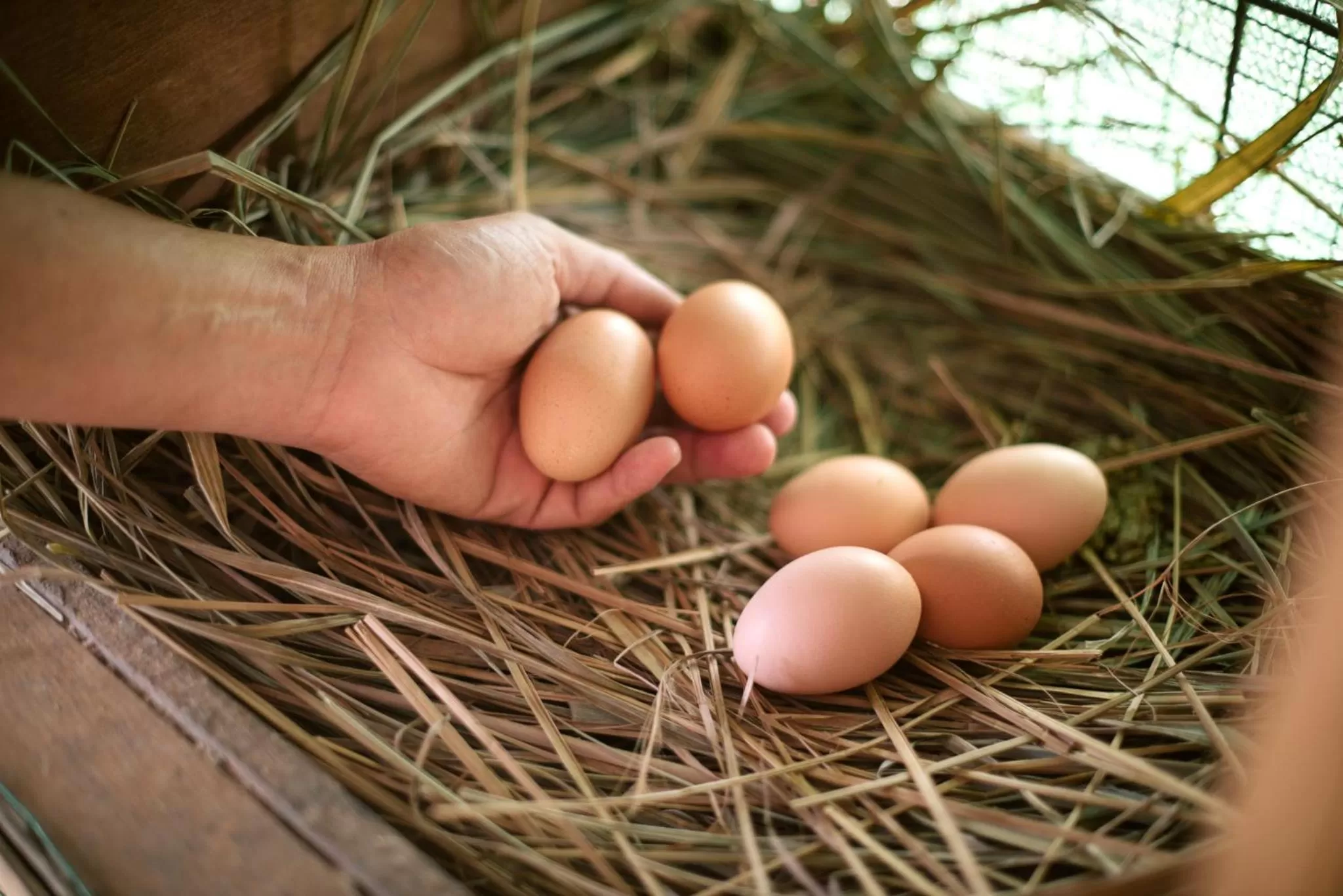 Activities in Apsara Beachfront Resort & Villa