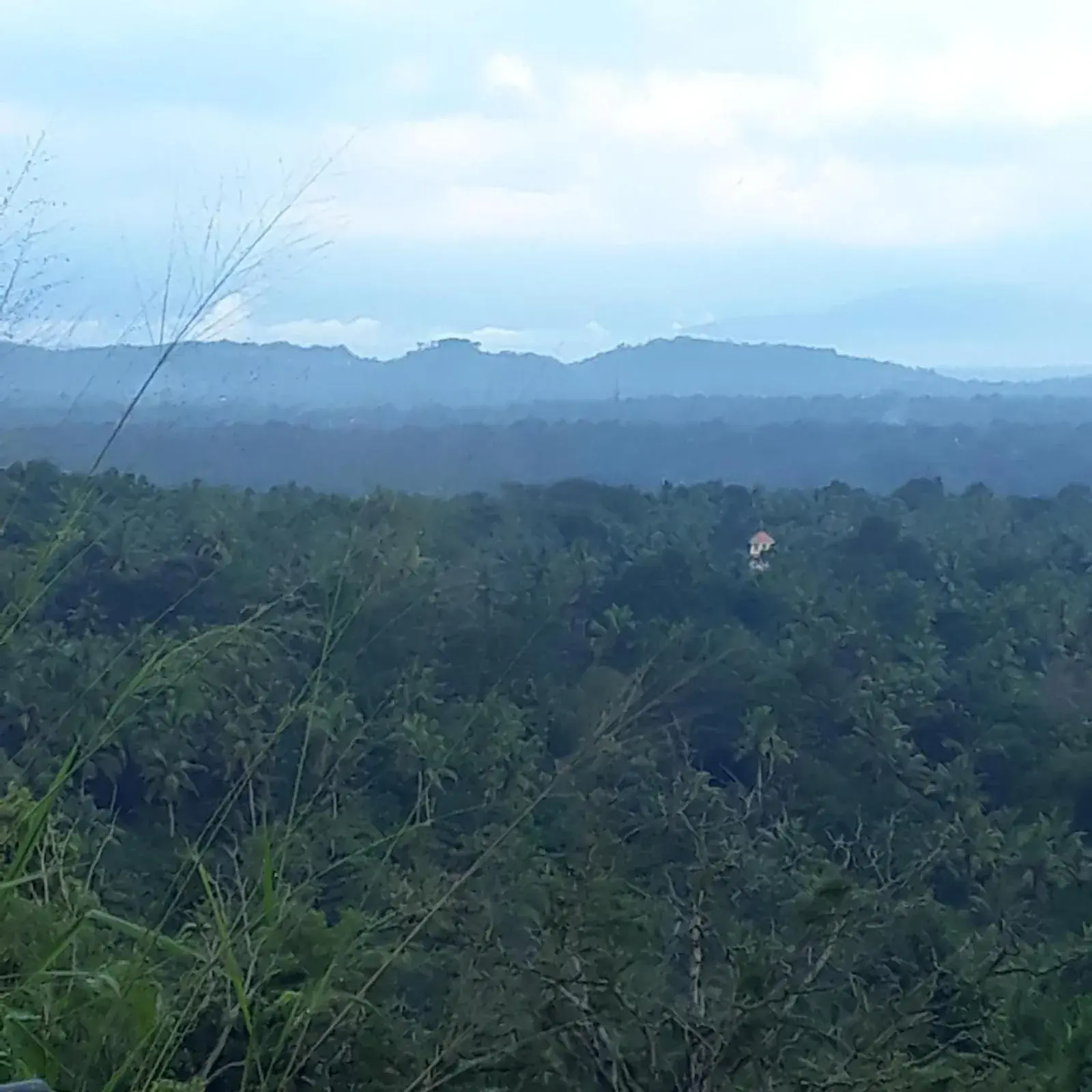 Natural Landscape in Amara Ayurveda Retreat