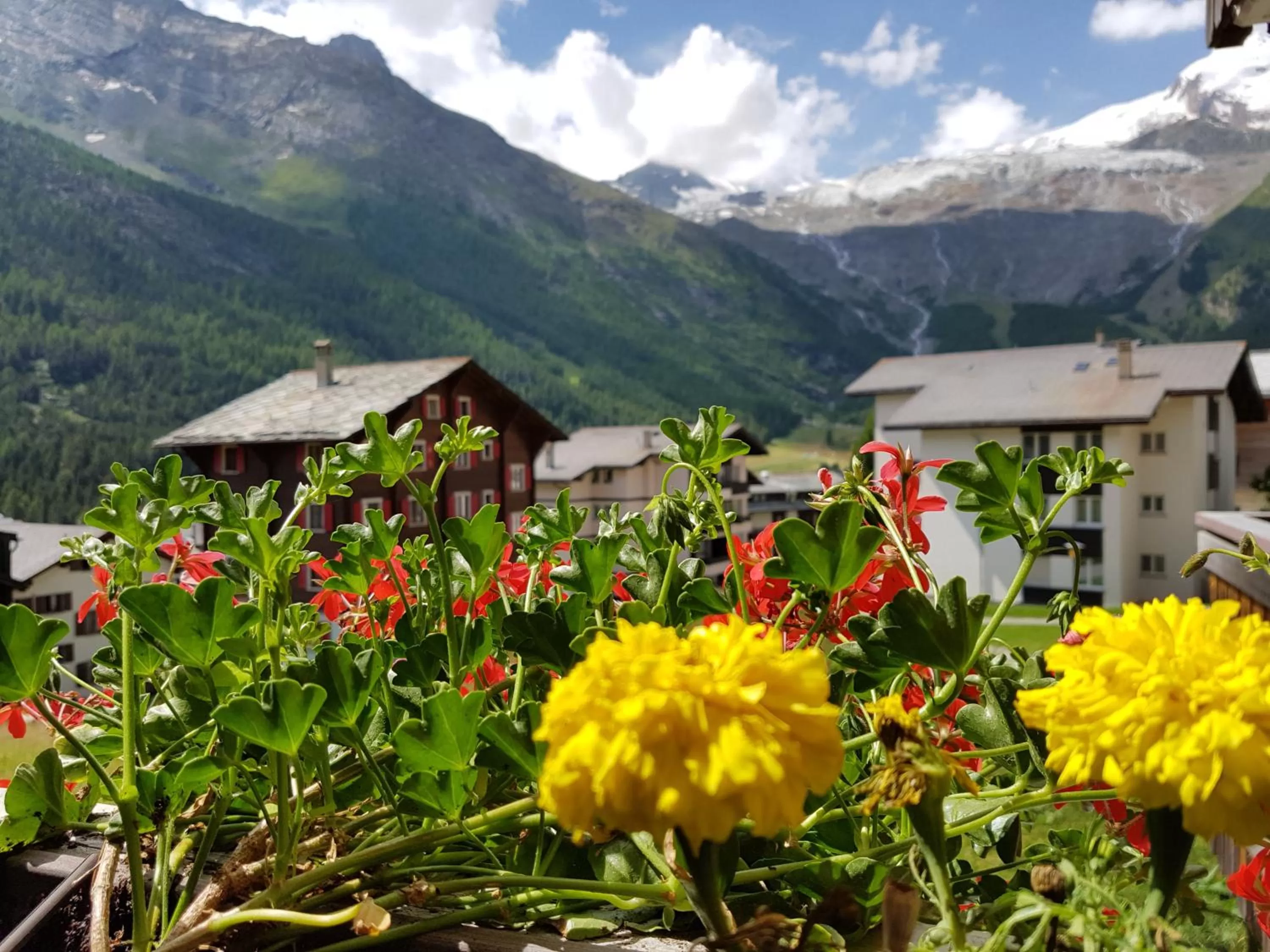 Balcony/Terrace in Hotel Europa