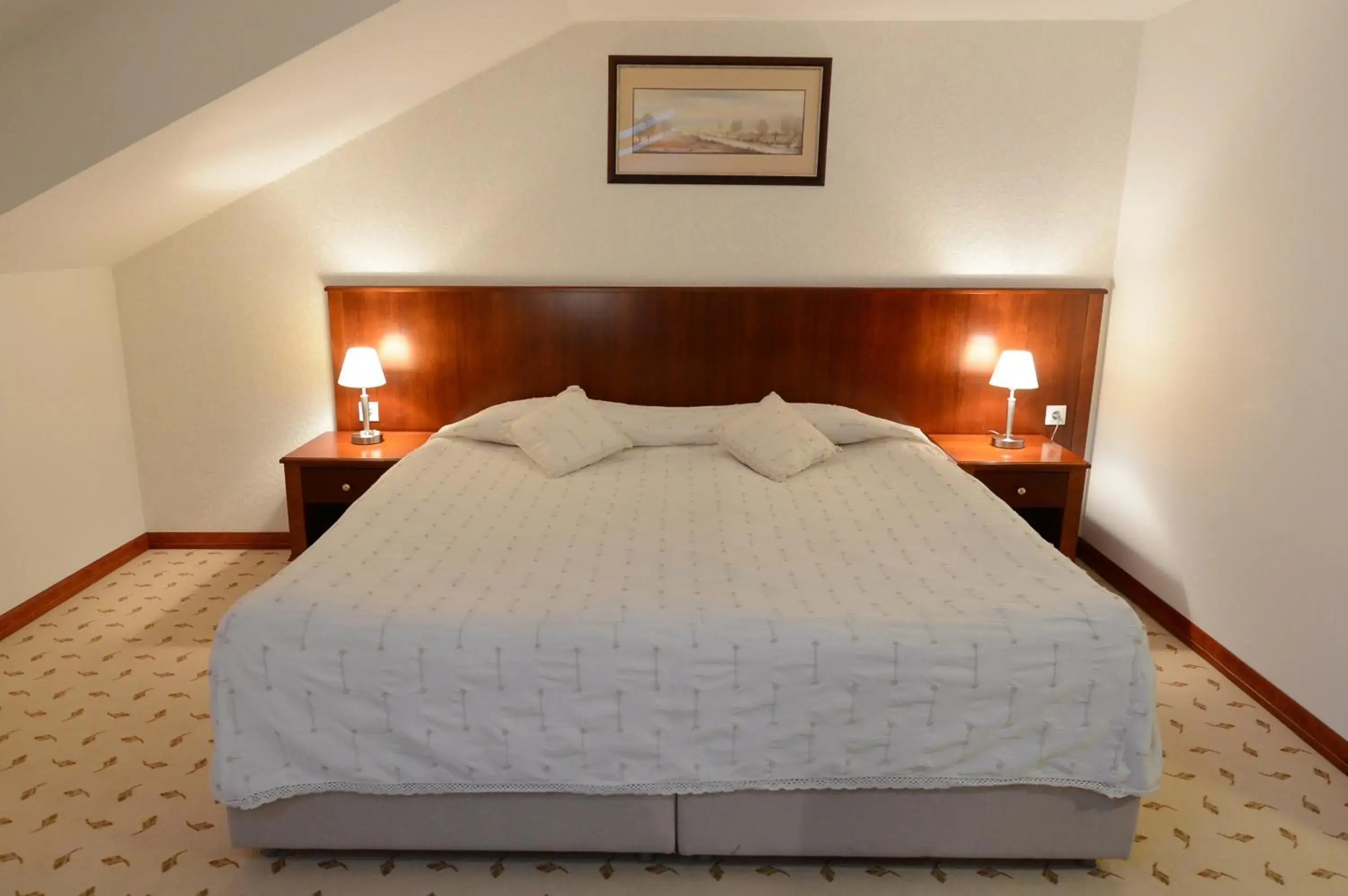 Bed in Hotel Orasac