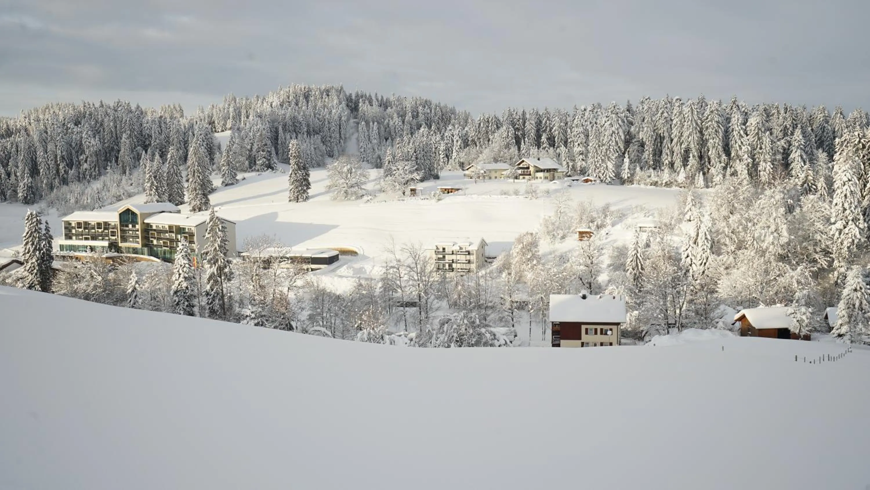 Winter in Hotel Edita