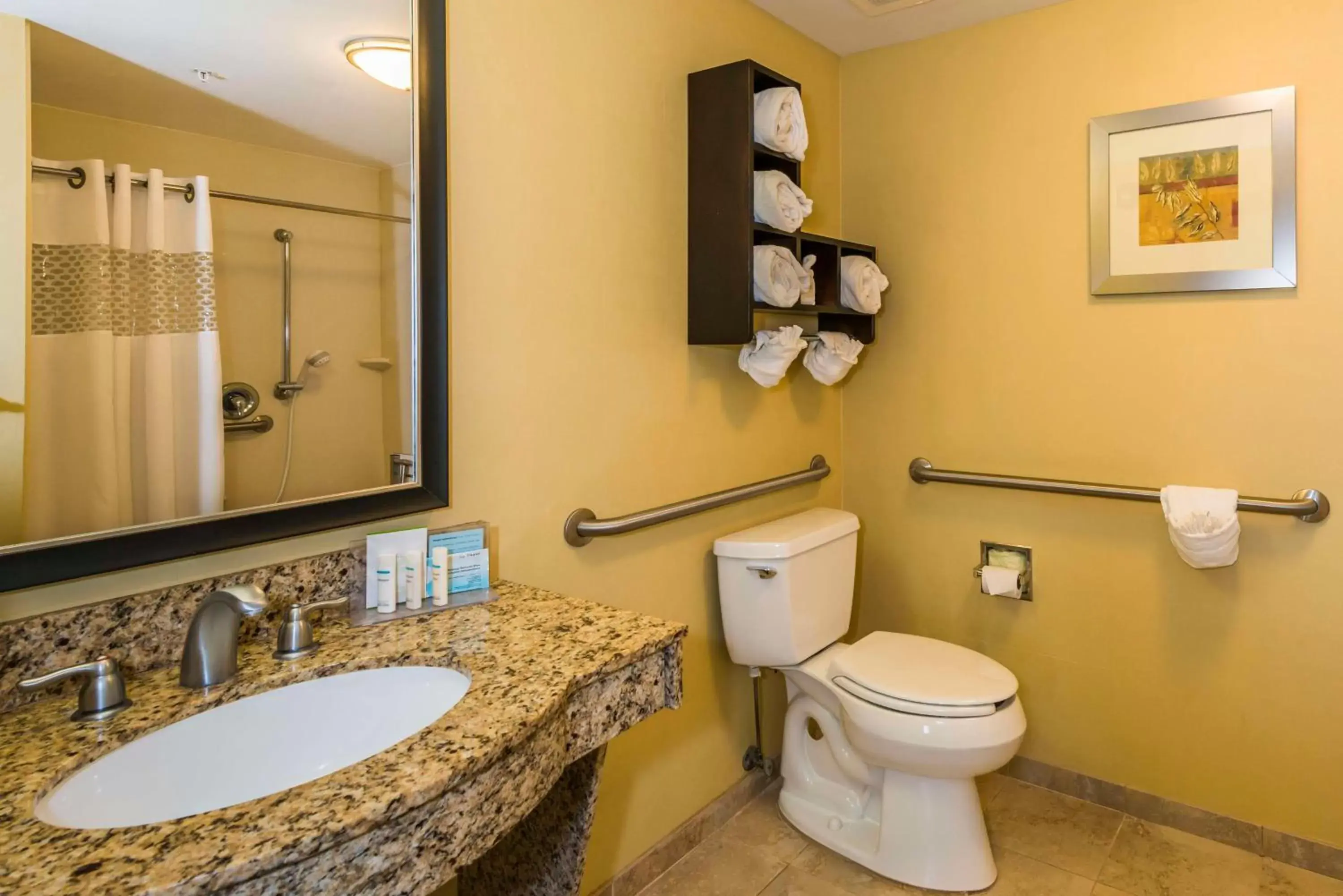 Bathroom in Hampton Inn & Suites Jacksonville South - Bartram Park