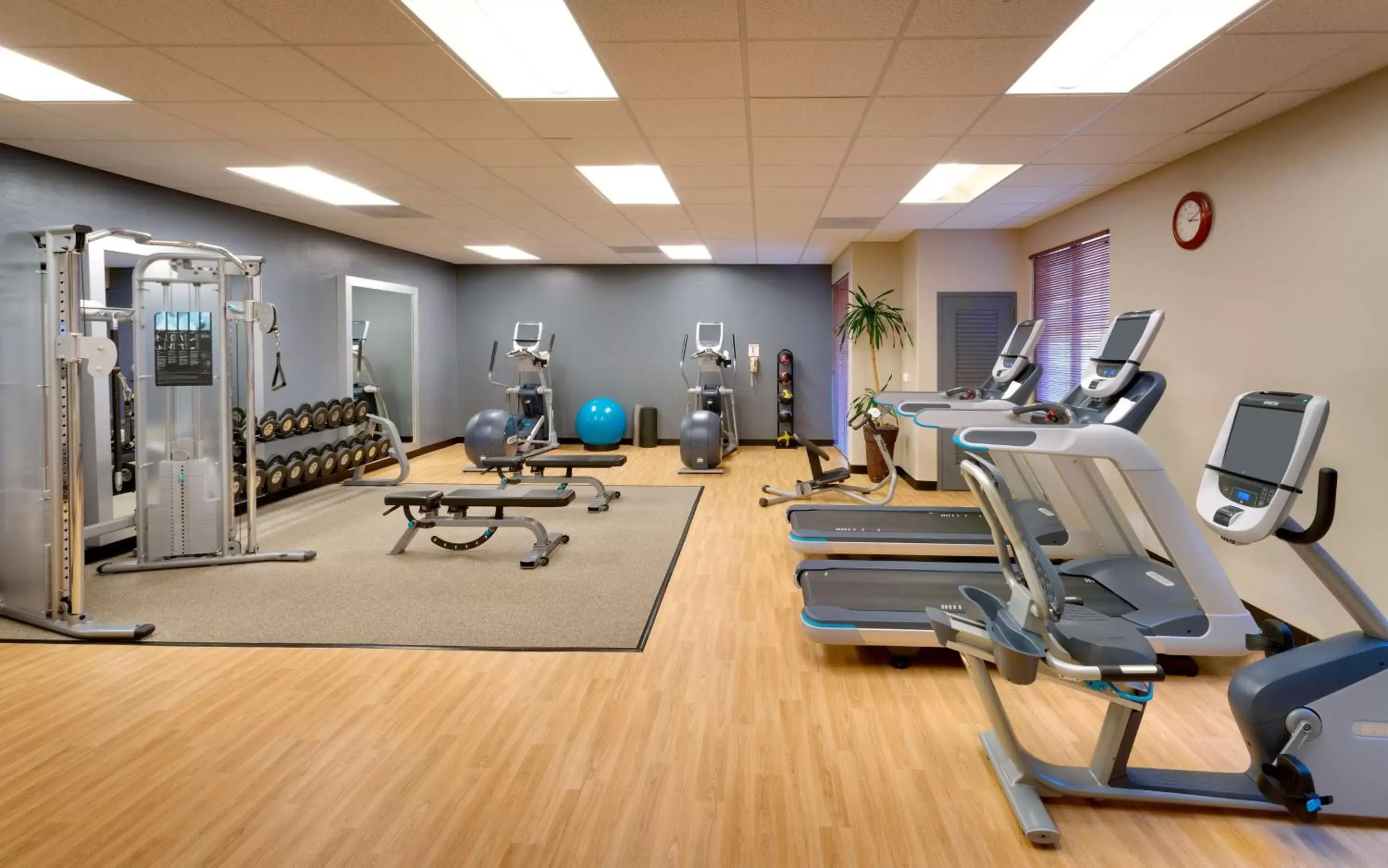 Fitness centre/facilities, Fitness Center/Facilities in Embassy Suites Tucson - Paloma Village