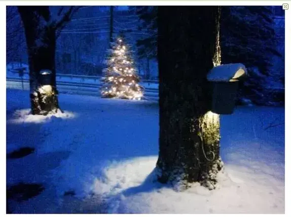 Natural landscape, Winter in The Wilmington Inn