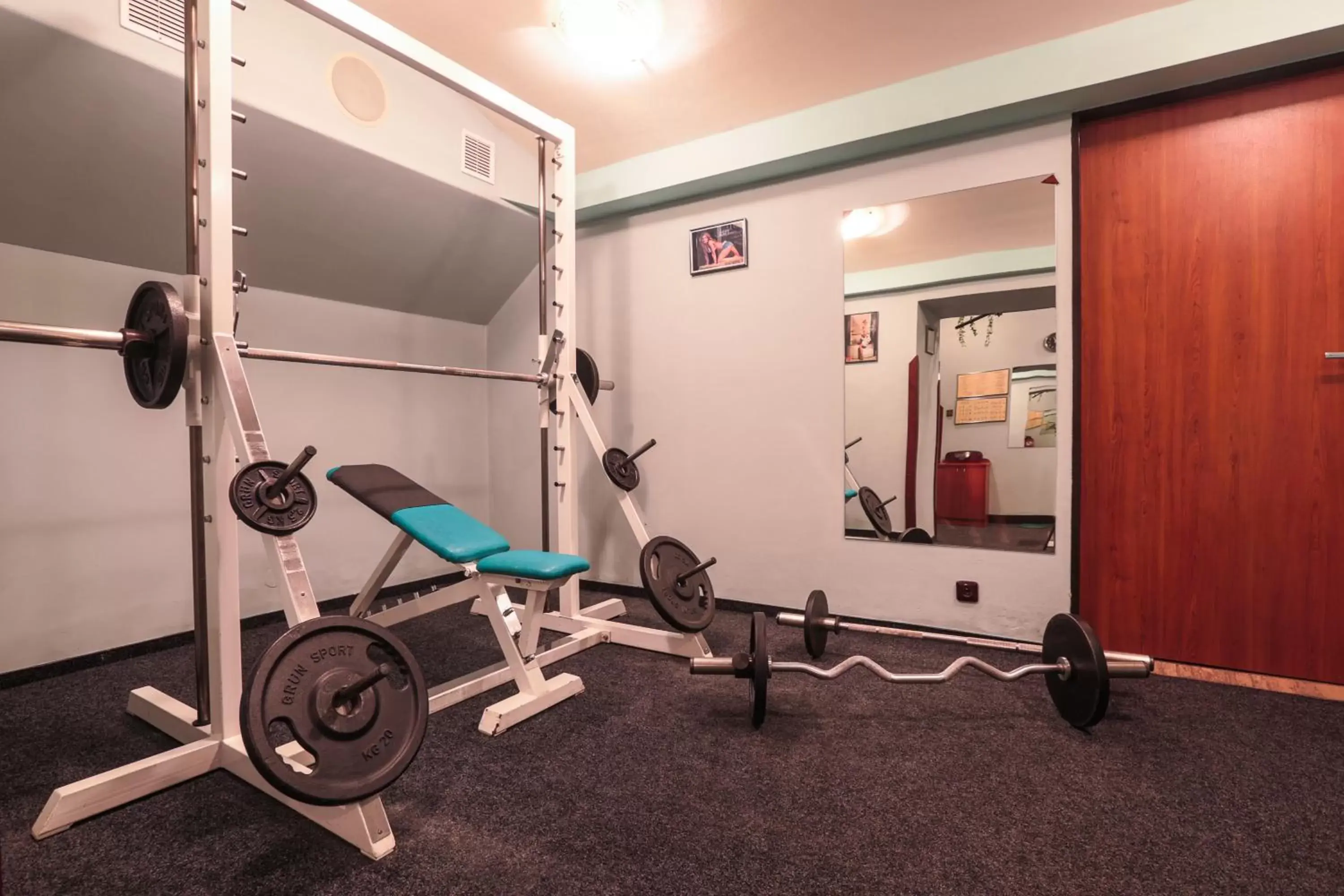 Fitness centre/facilities, Fitness Center/Facilities in Hotel Victoria