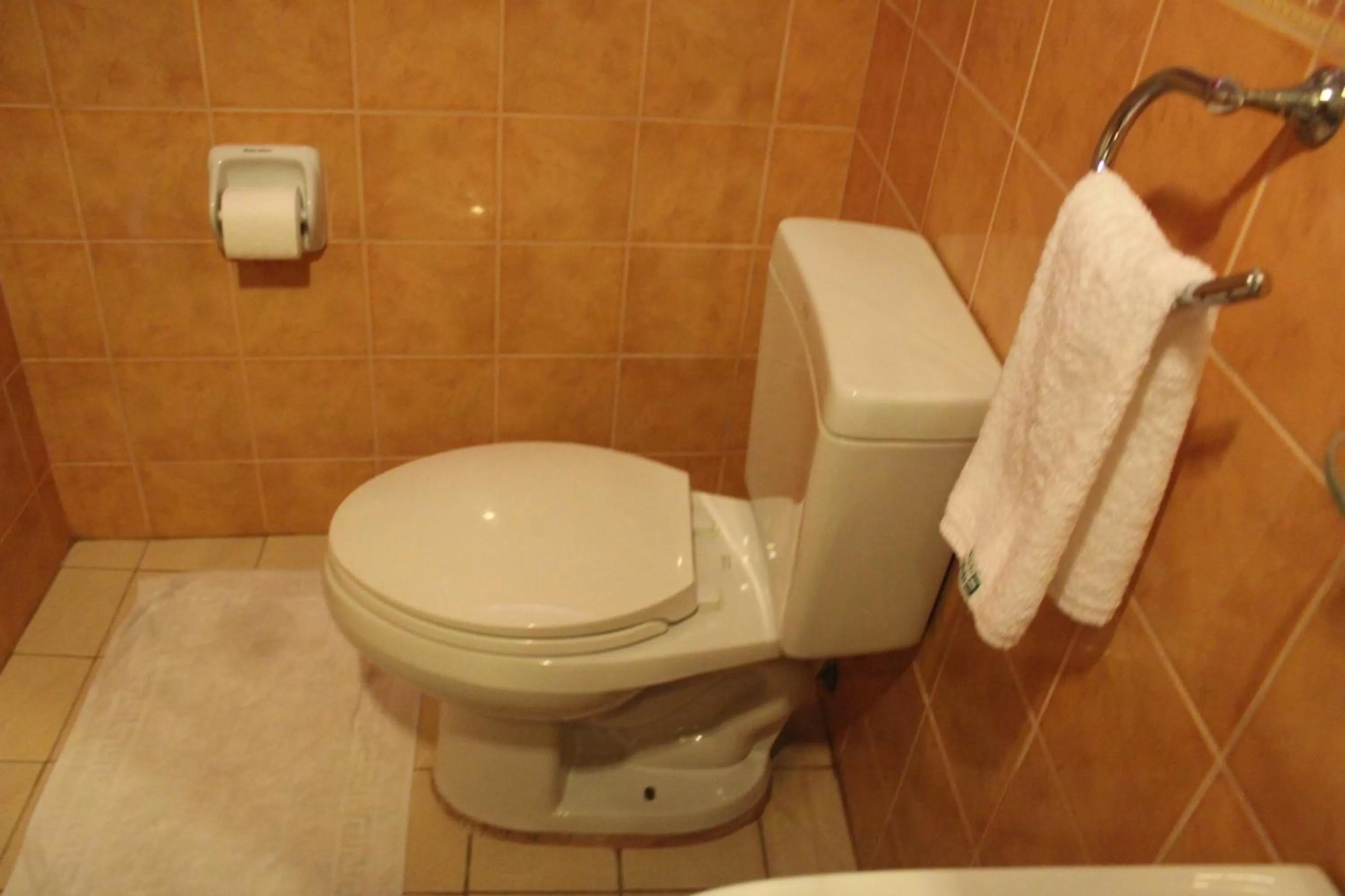 Toilet in Elegant Circle Inn
