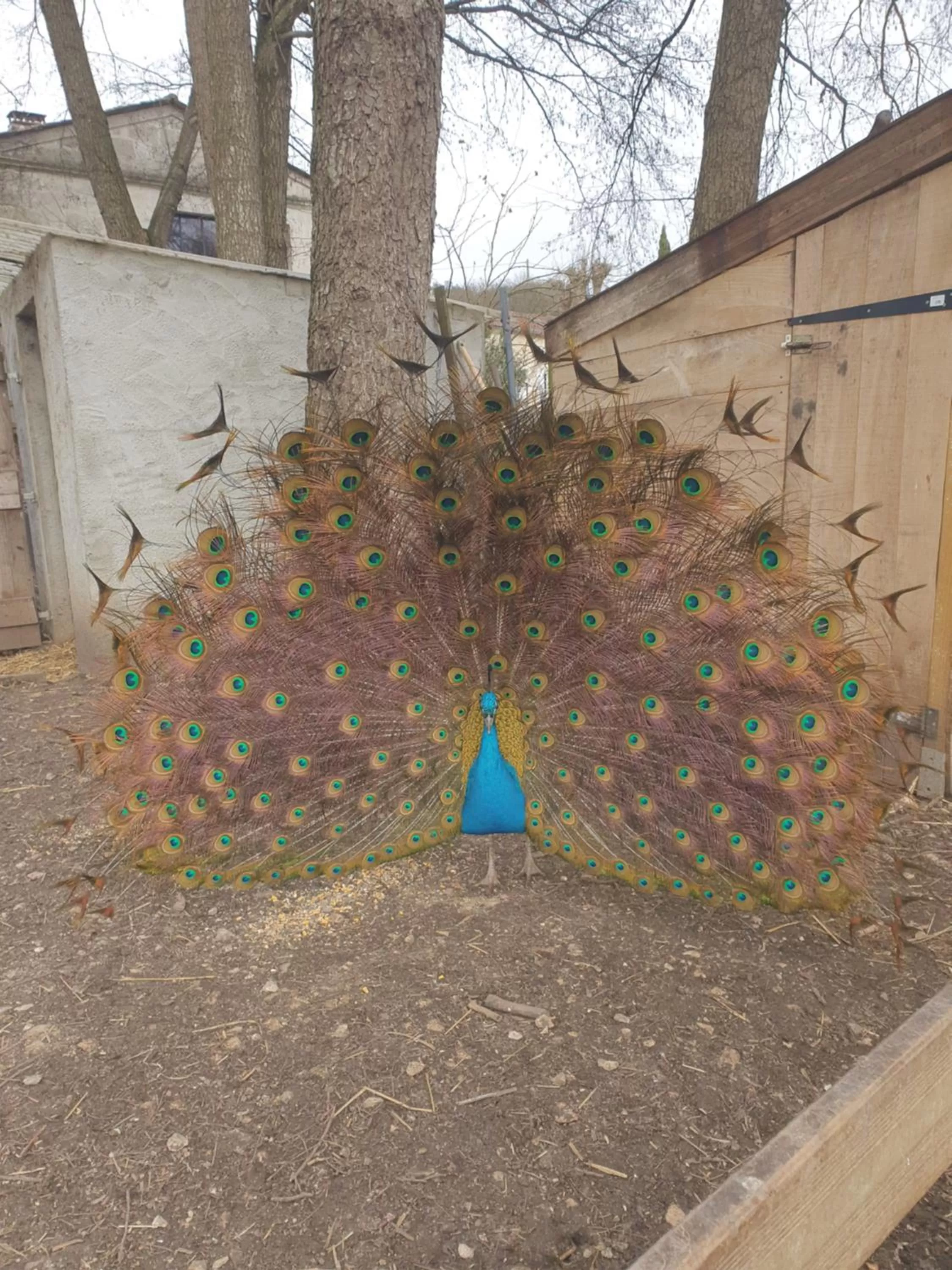 Property building in Jolysable