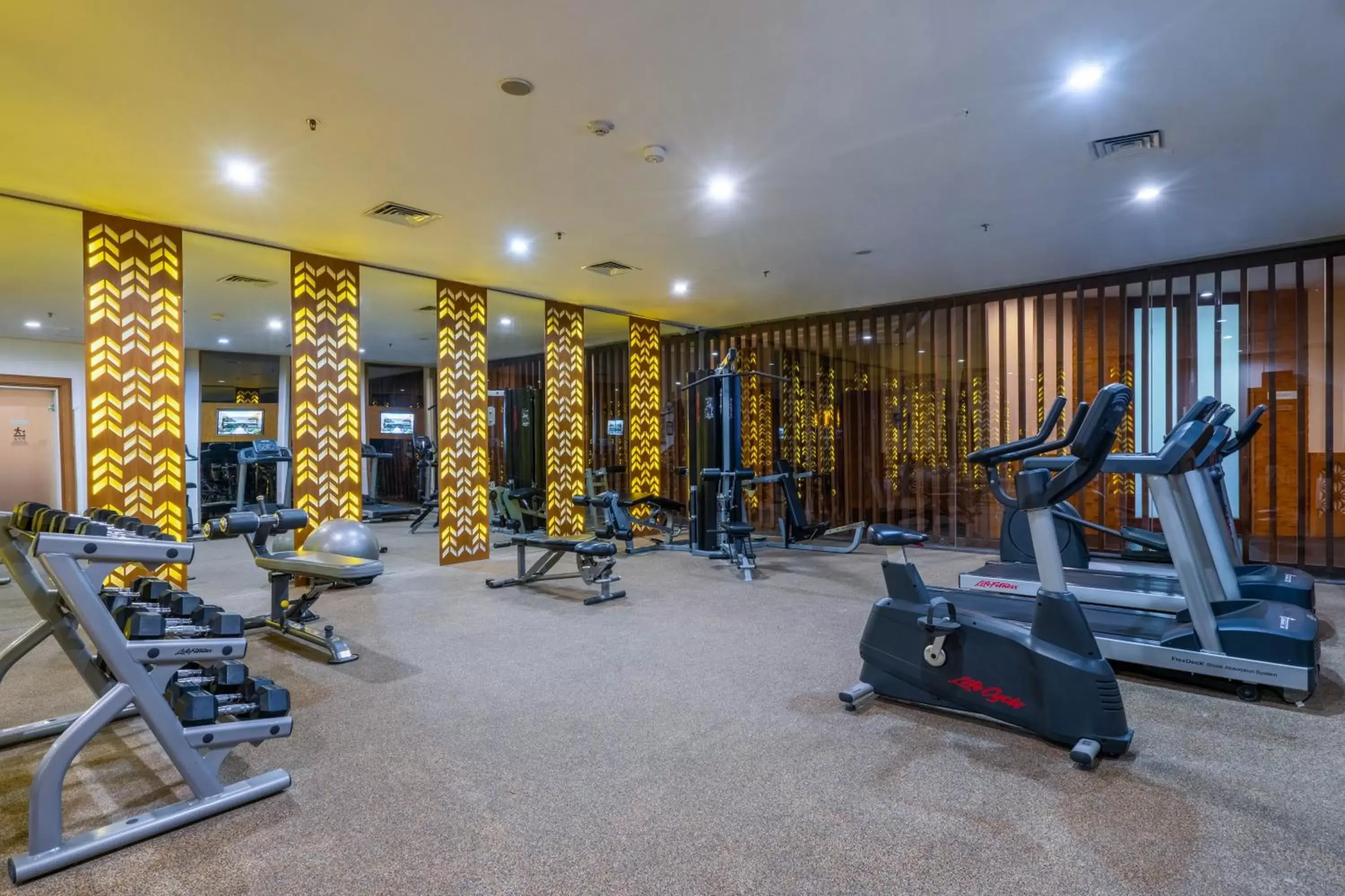 Fitness centre/facilities, Fitness Center/Facilities in Vouk Hotel and Suites