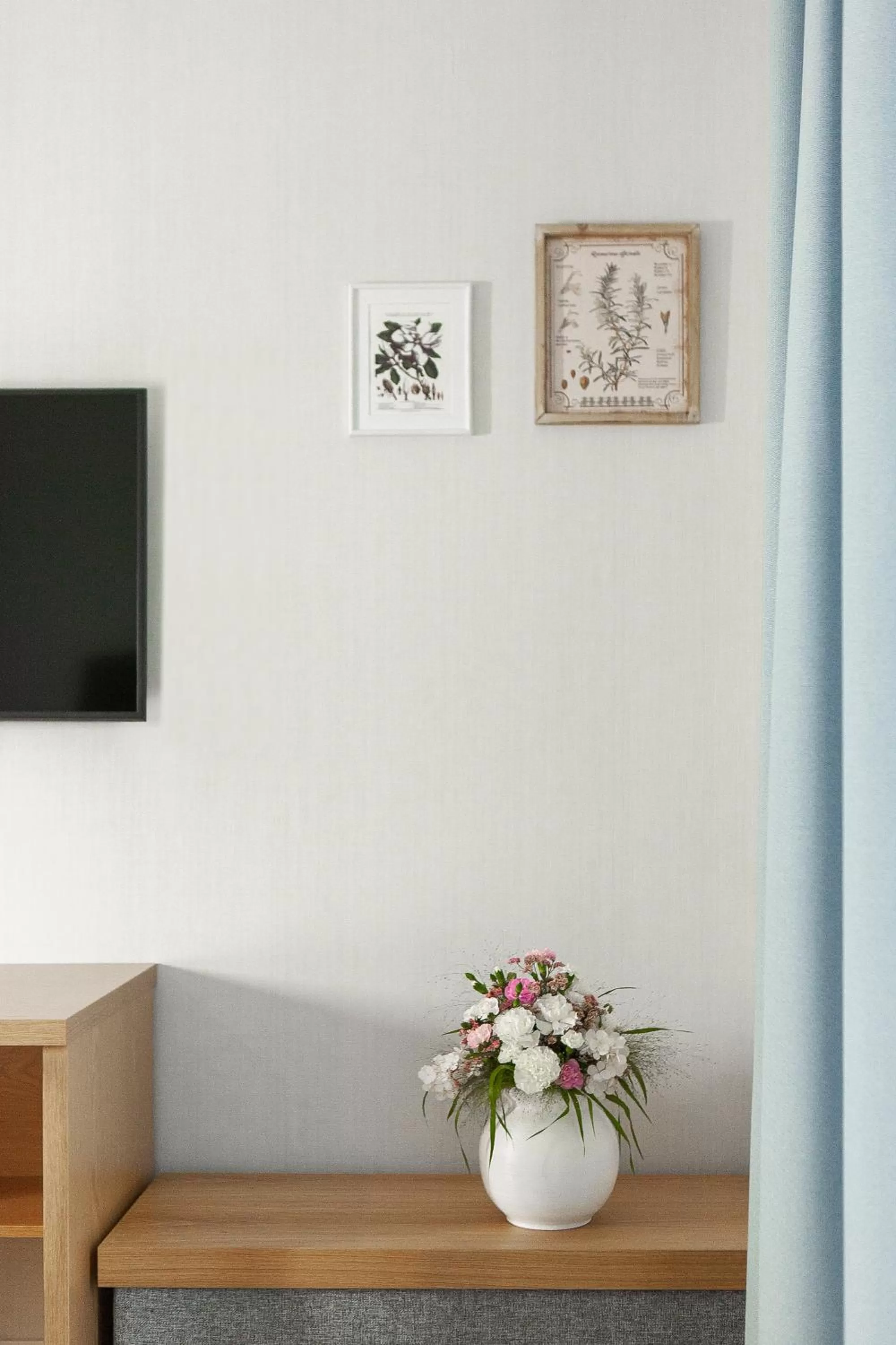 TV and multimedia in Leśny Dwór