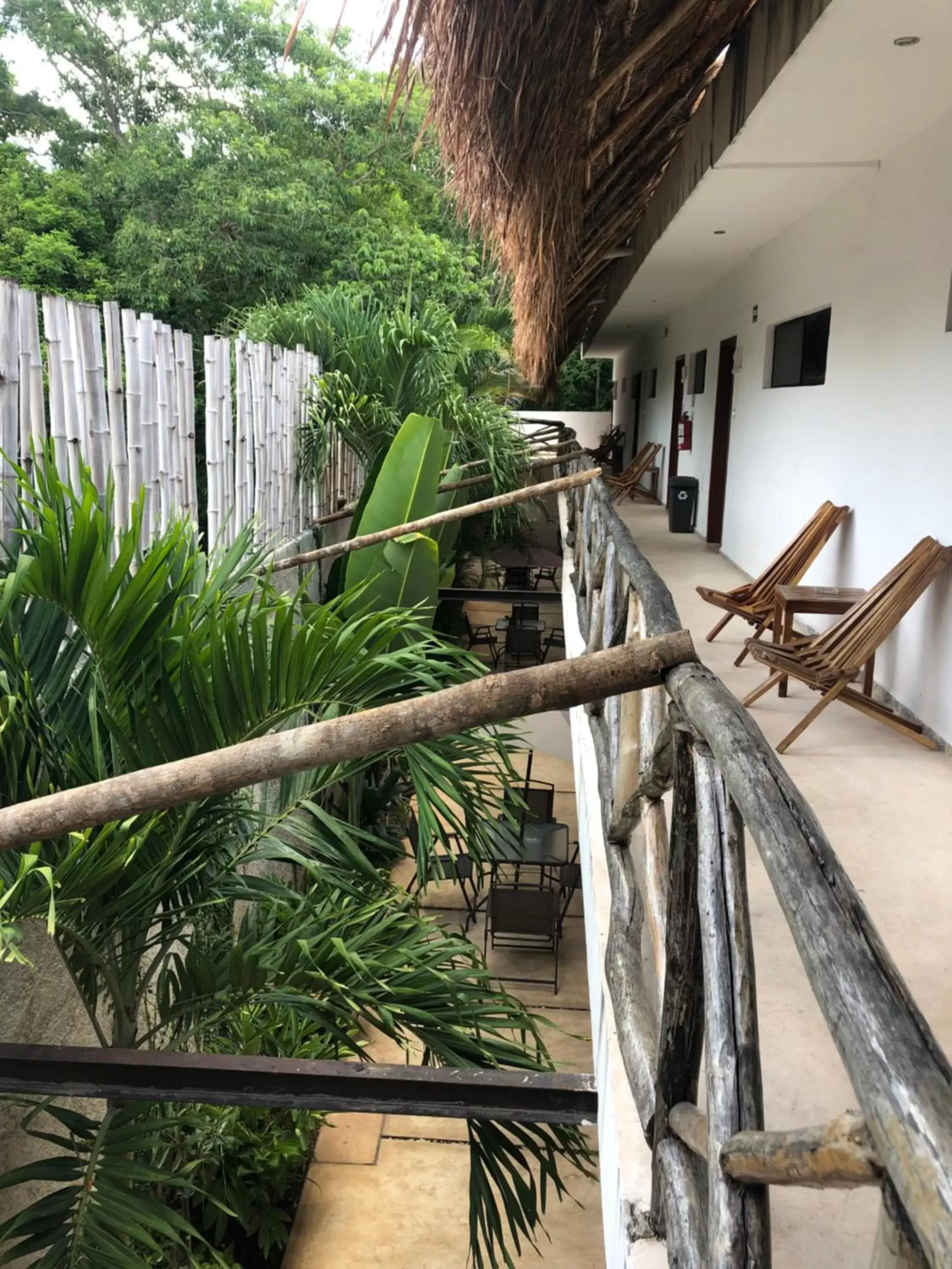 Balcony/Terrace in Hotel Casa Bamboo