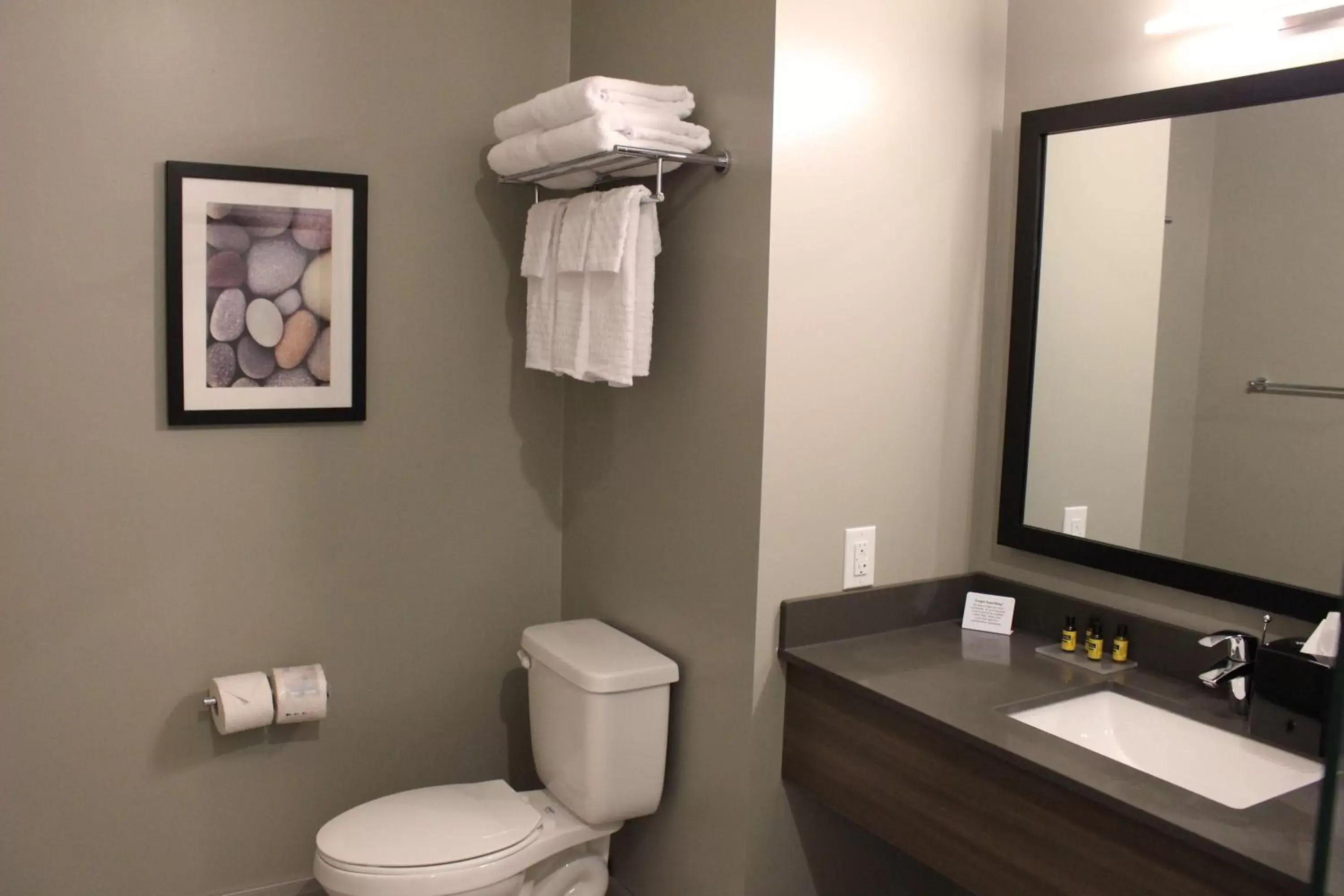 Bathroom in Best Western Plus Dauphin