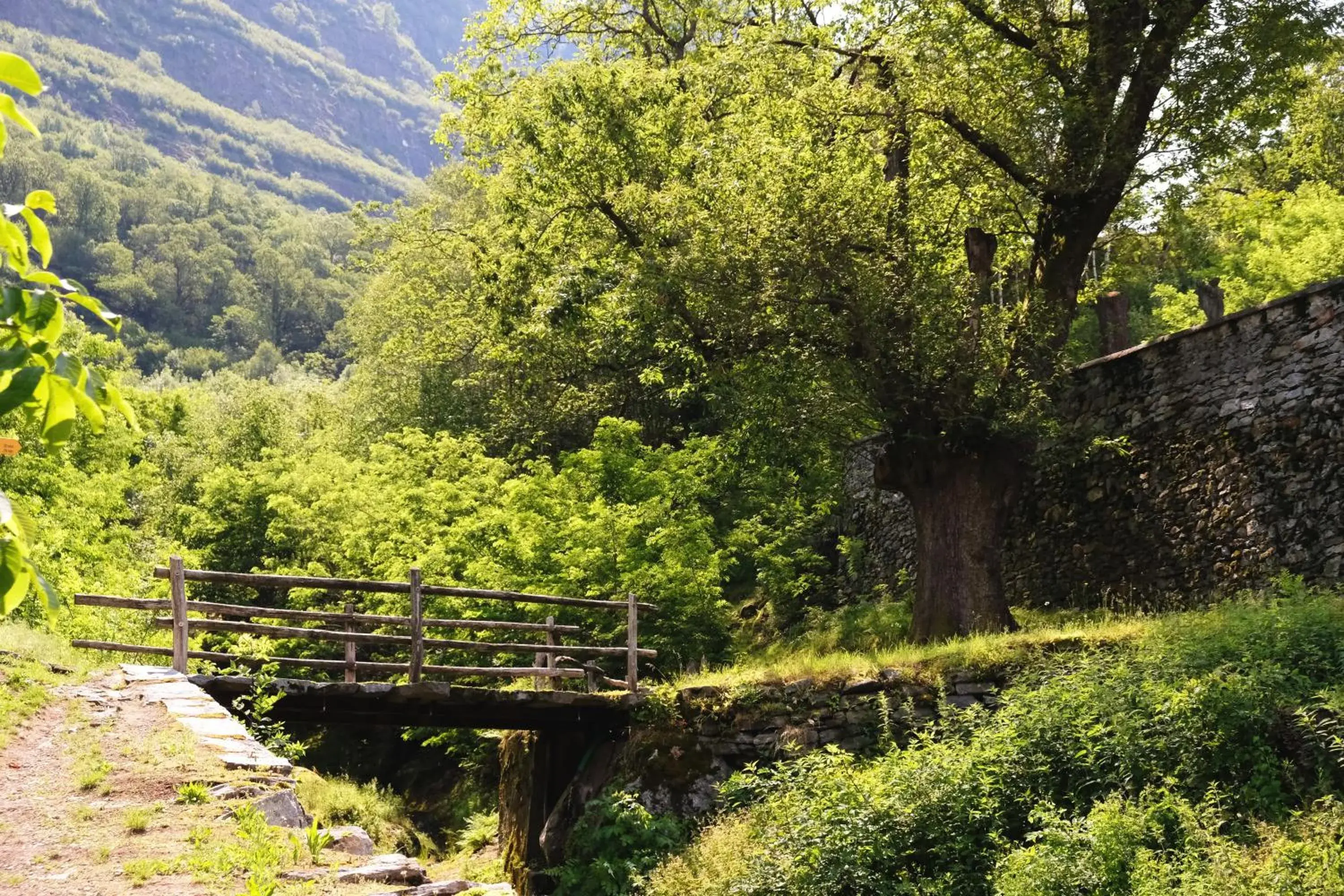 Natural landscape in Al Giardinetto