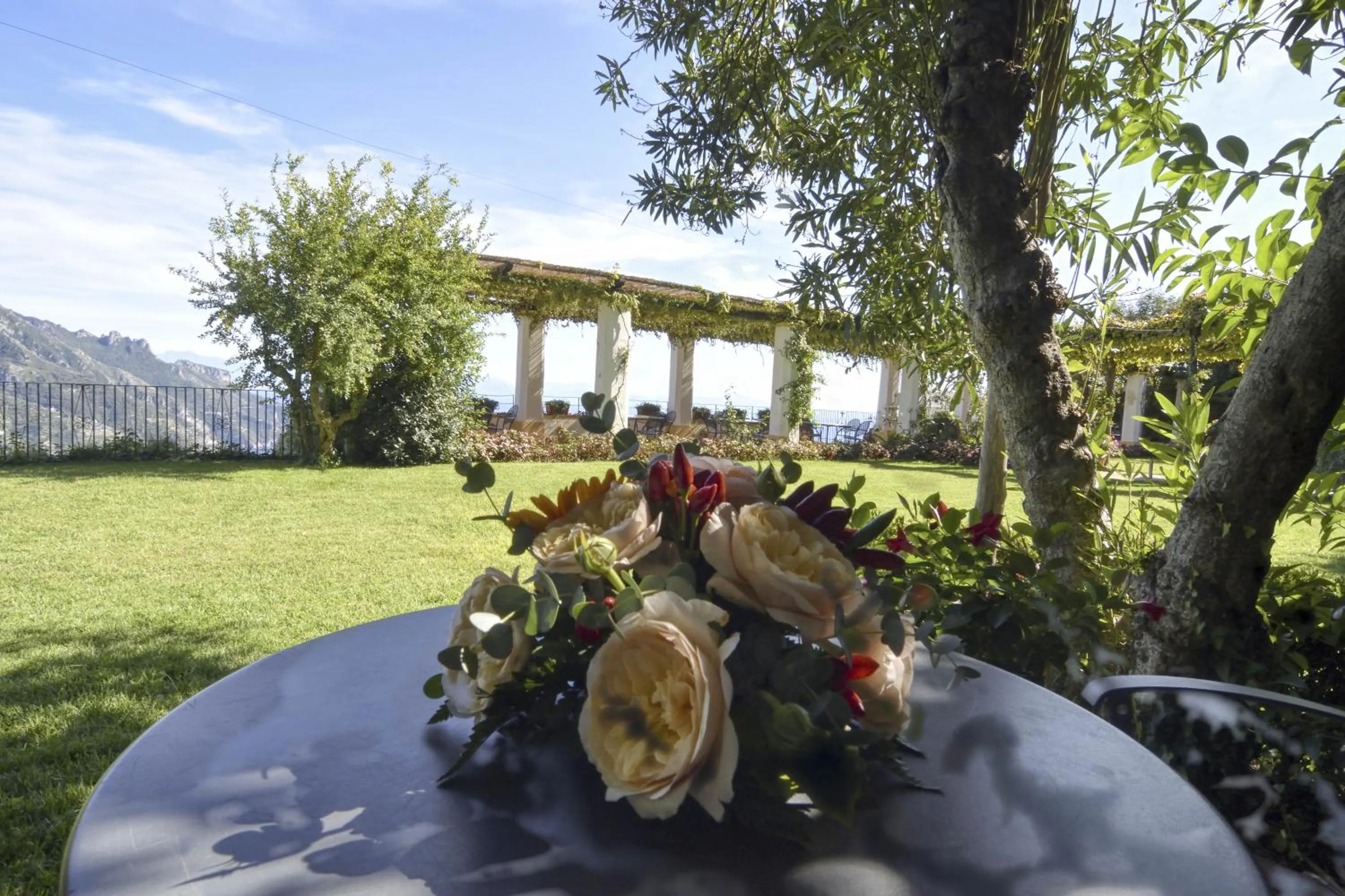 Garden view in Palazzo Confalone