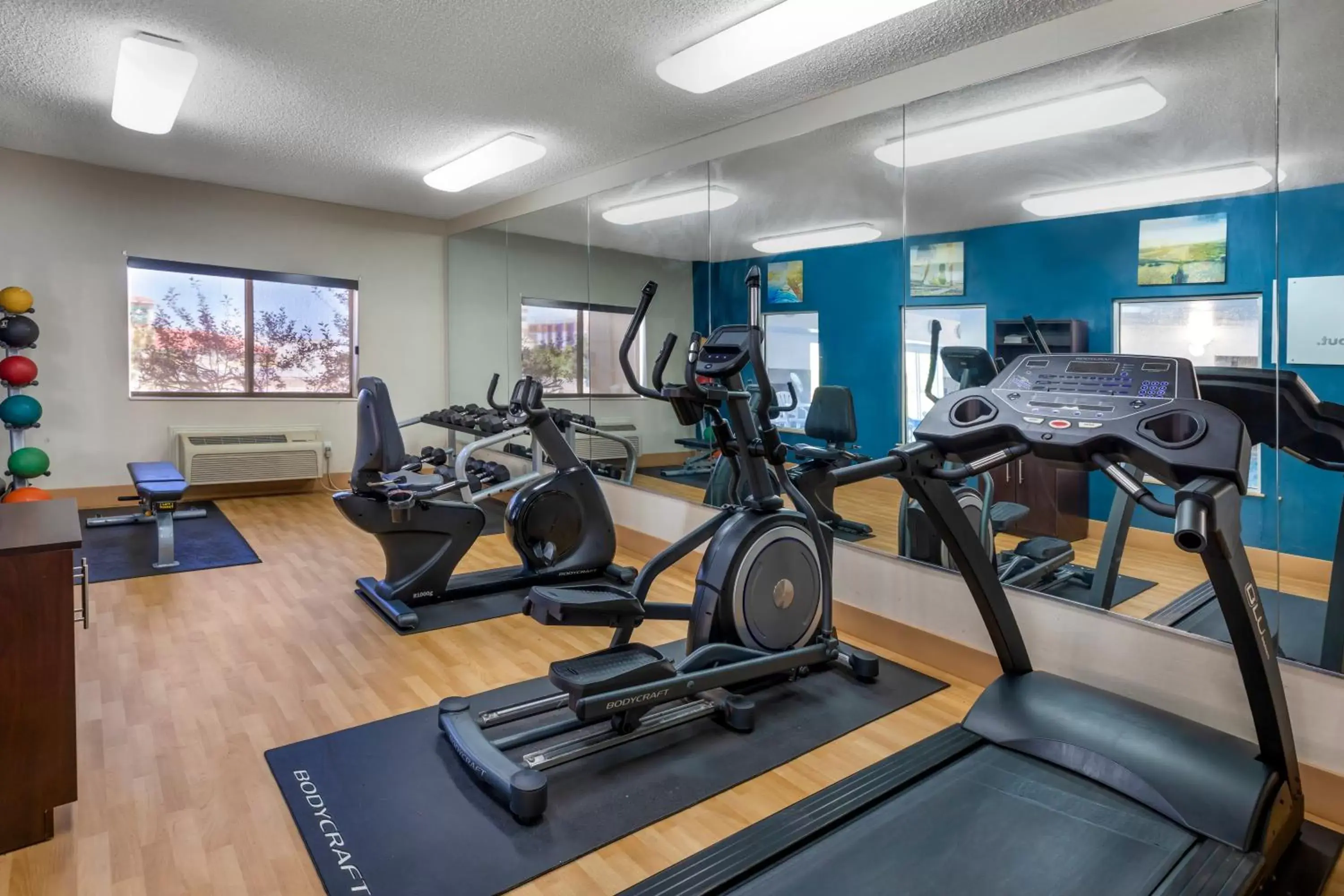 Fitness centre/facilities, Fitness Center/Facilities in Comfort Suites Denver Tech Center/Englewood