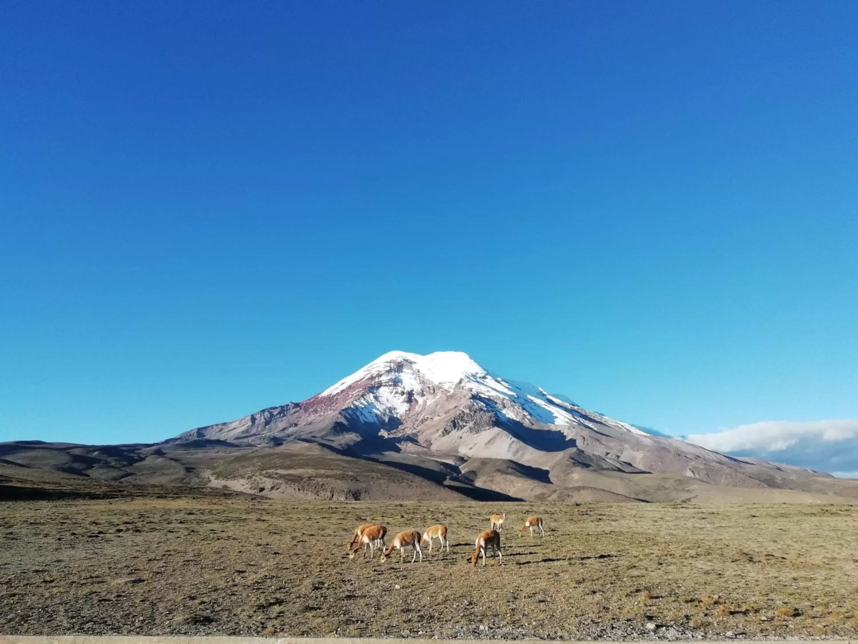 Activities in Hostal La Casa Amarilla City
