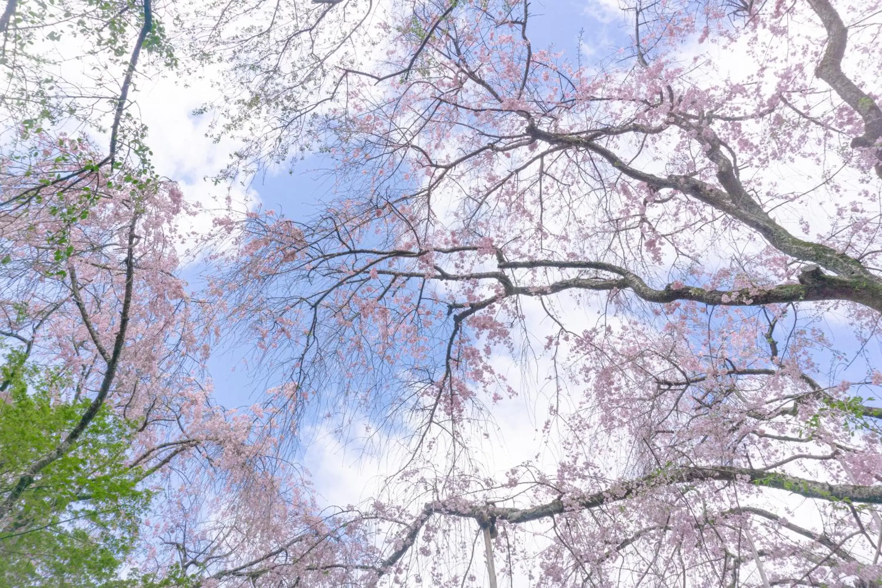 Nearby landmark in Tokyu Stay Kyoto Sanjo-Karasuma