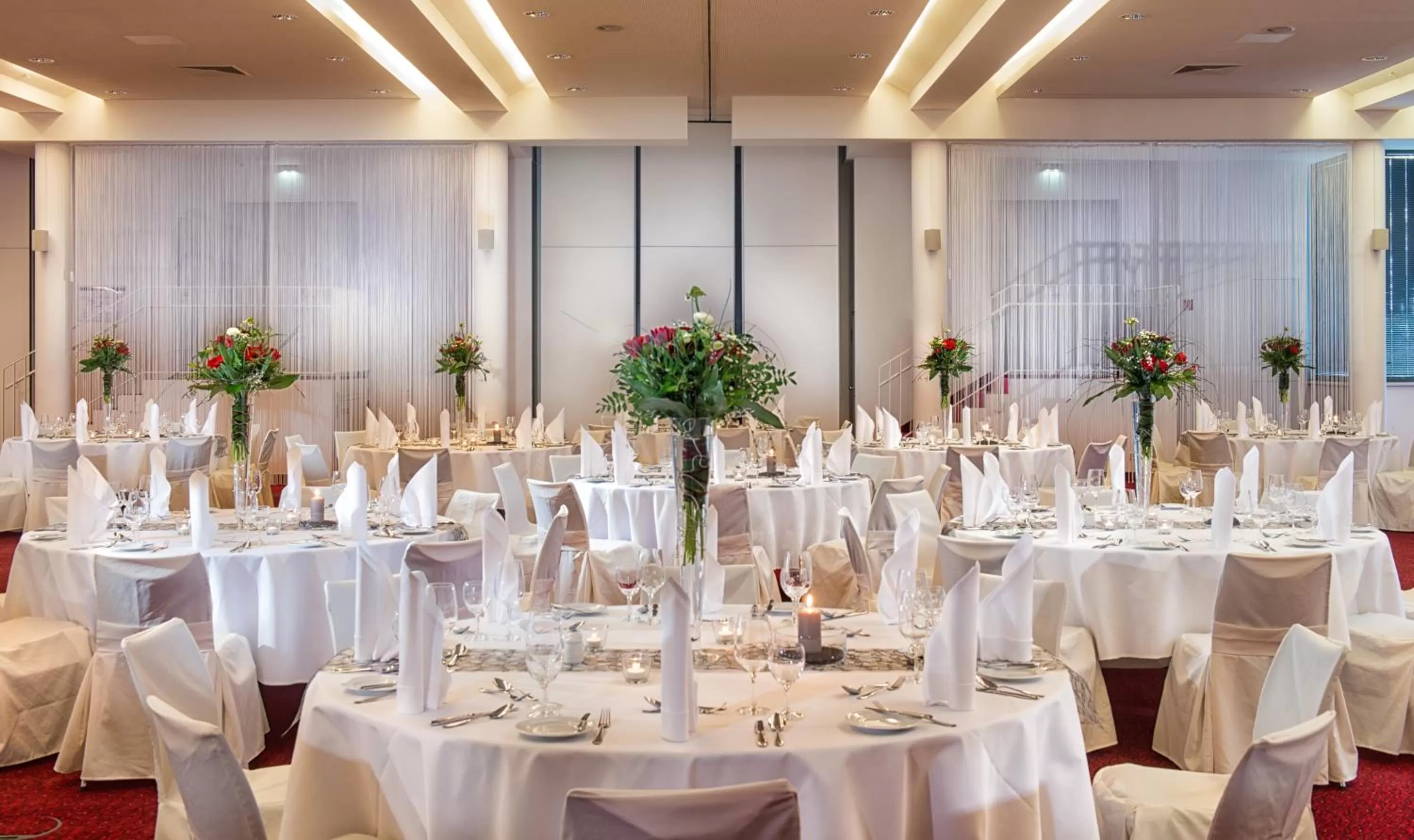 Banquet/Function facilities in Radisson Blu Park Hotel & Conference Centre