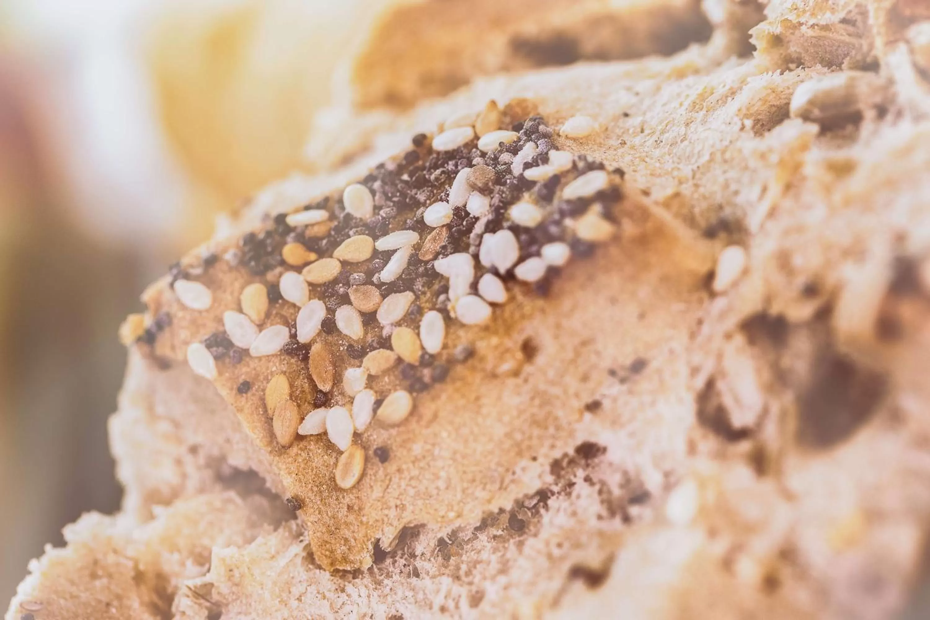 Restaurant/places to eat in Best Western Plus Richelieu