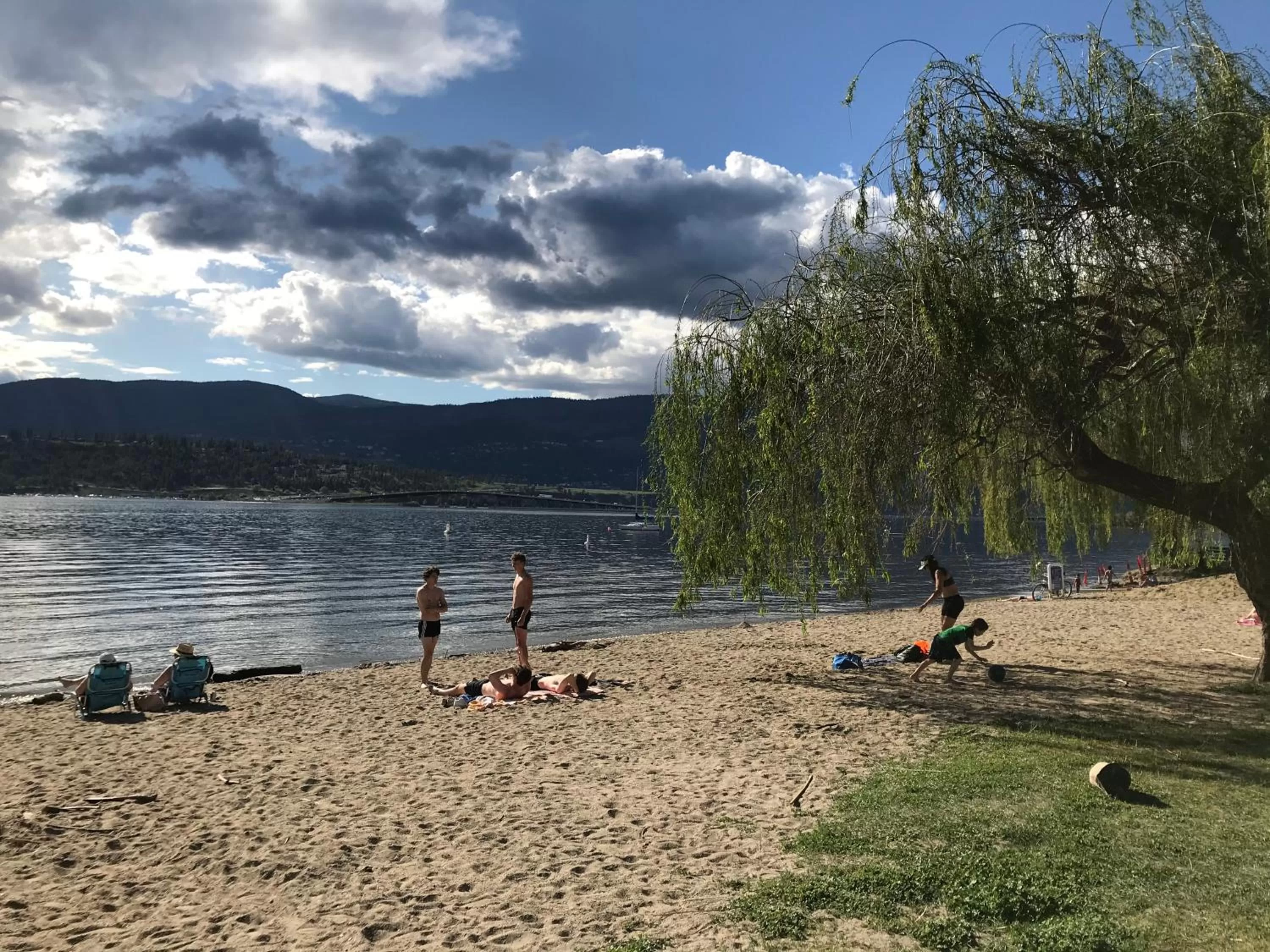 Beach in Stirling House