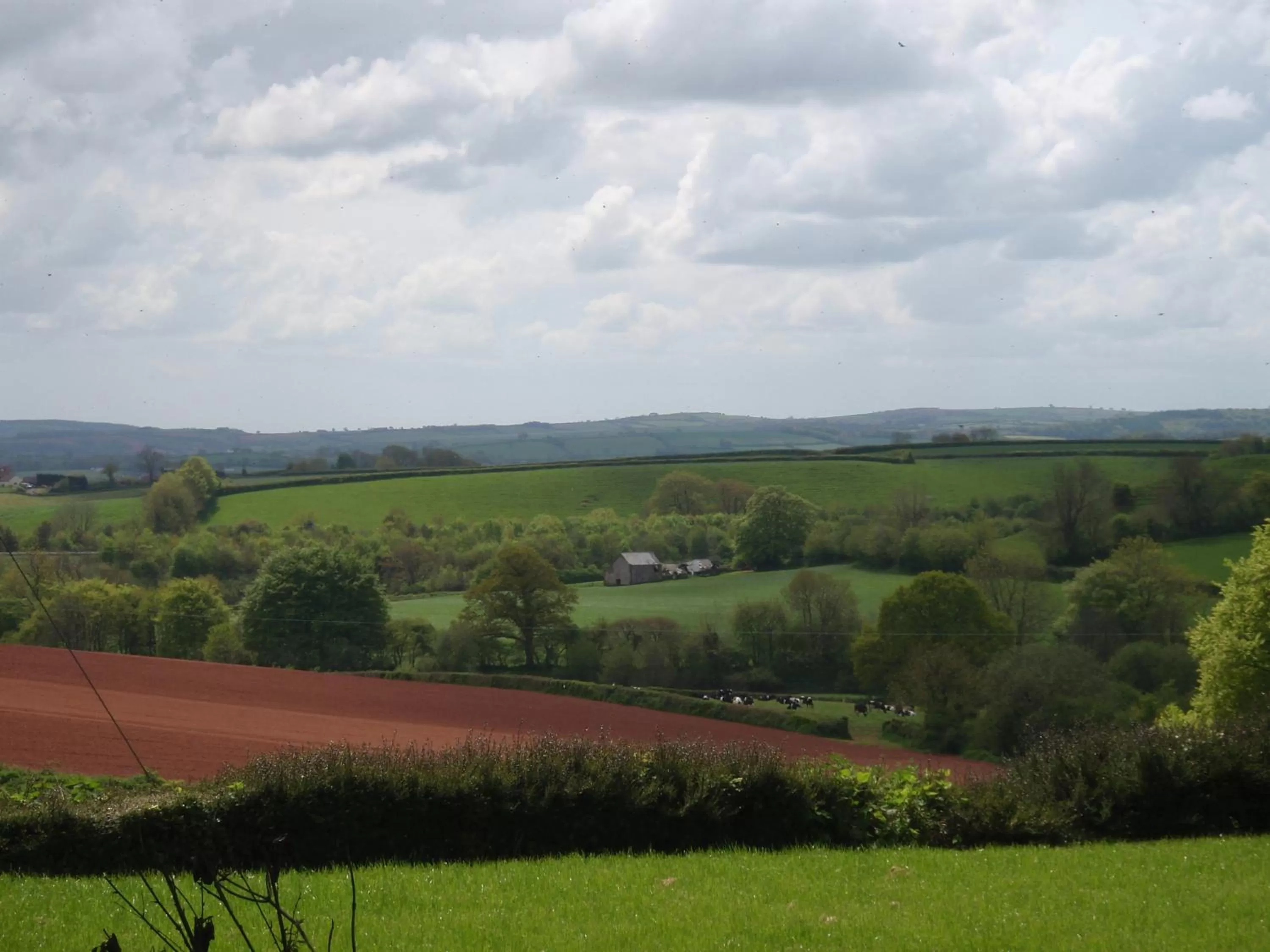 Garden view in Brambles Bed and Breakfast