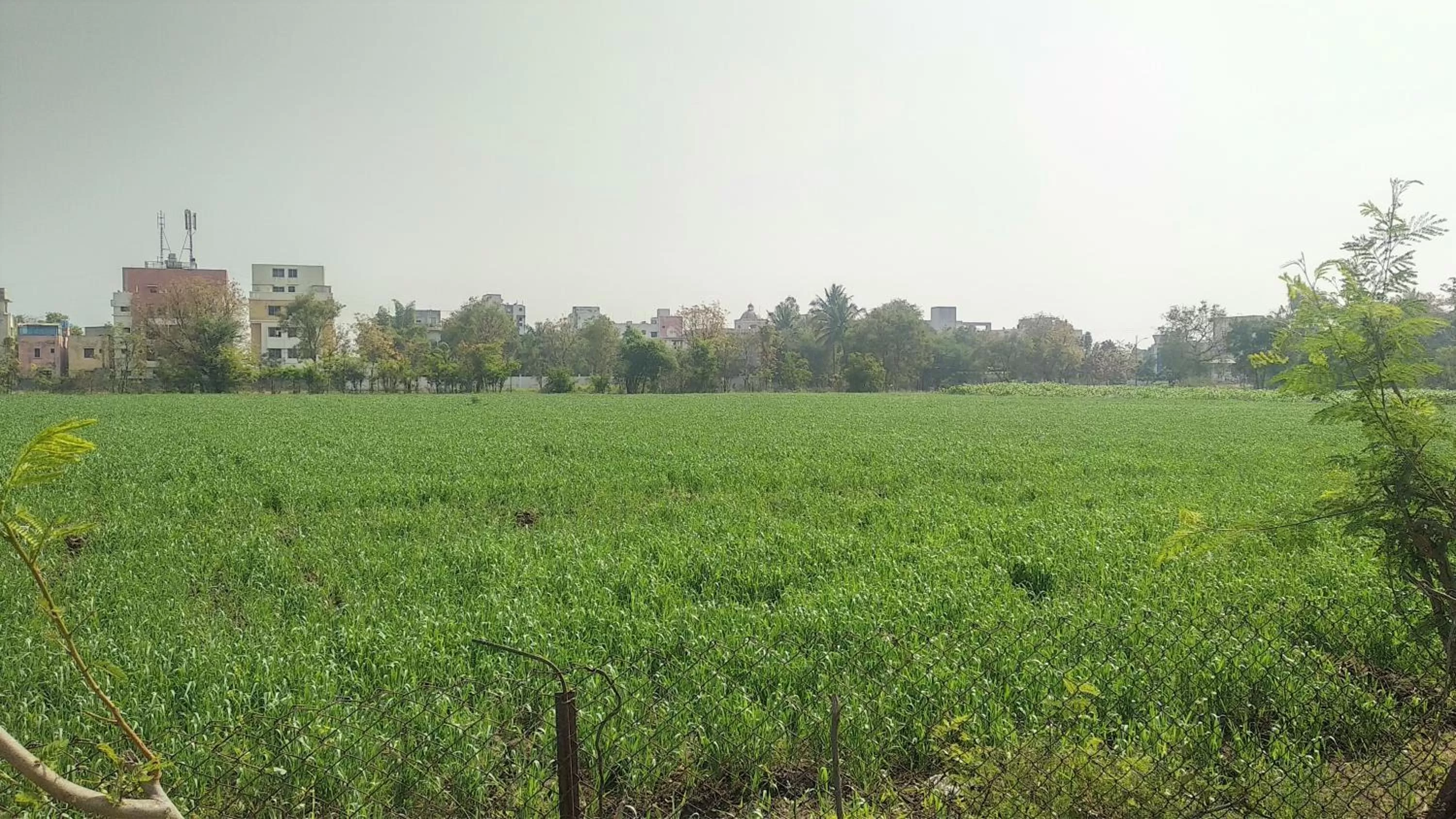 Other in SAI SRUSHTI by NEEM SQUARE