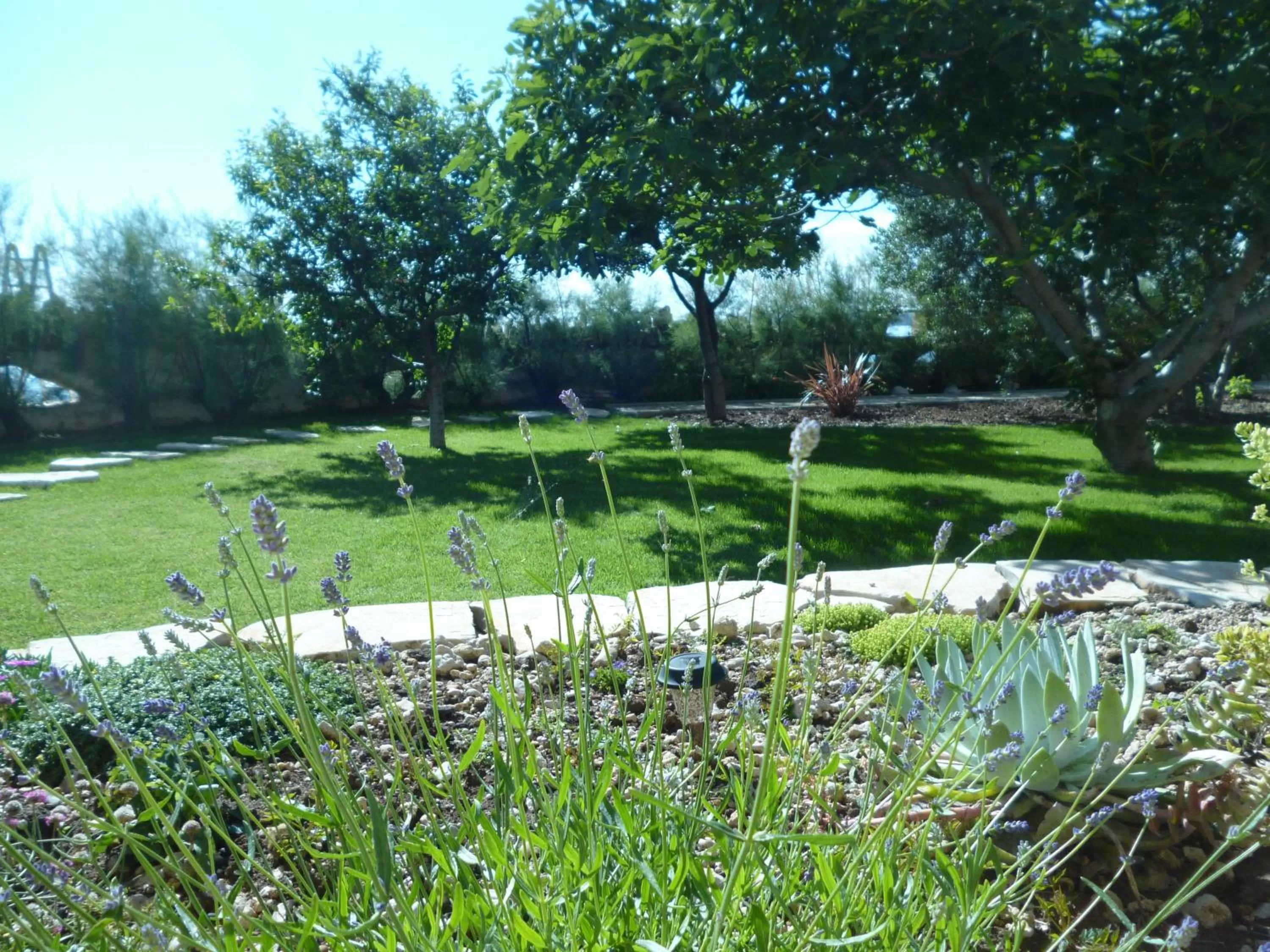 Facade/entrance in Bed&Breakfast Vanni