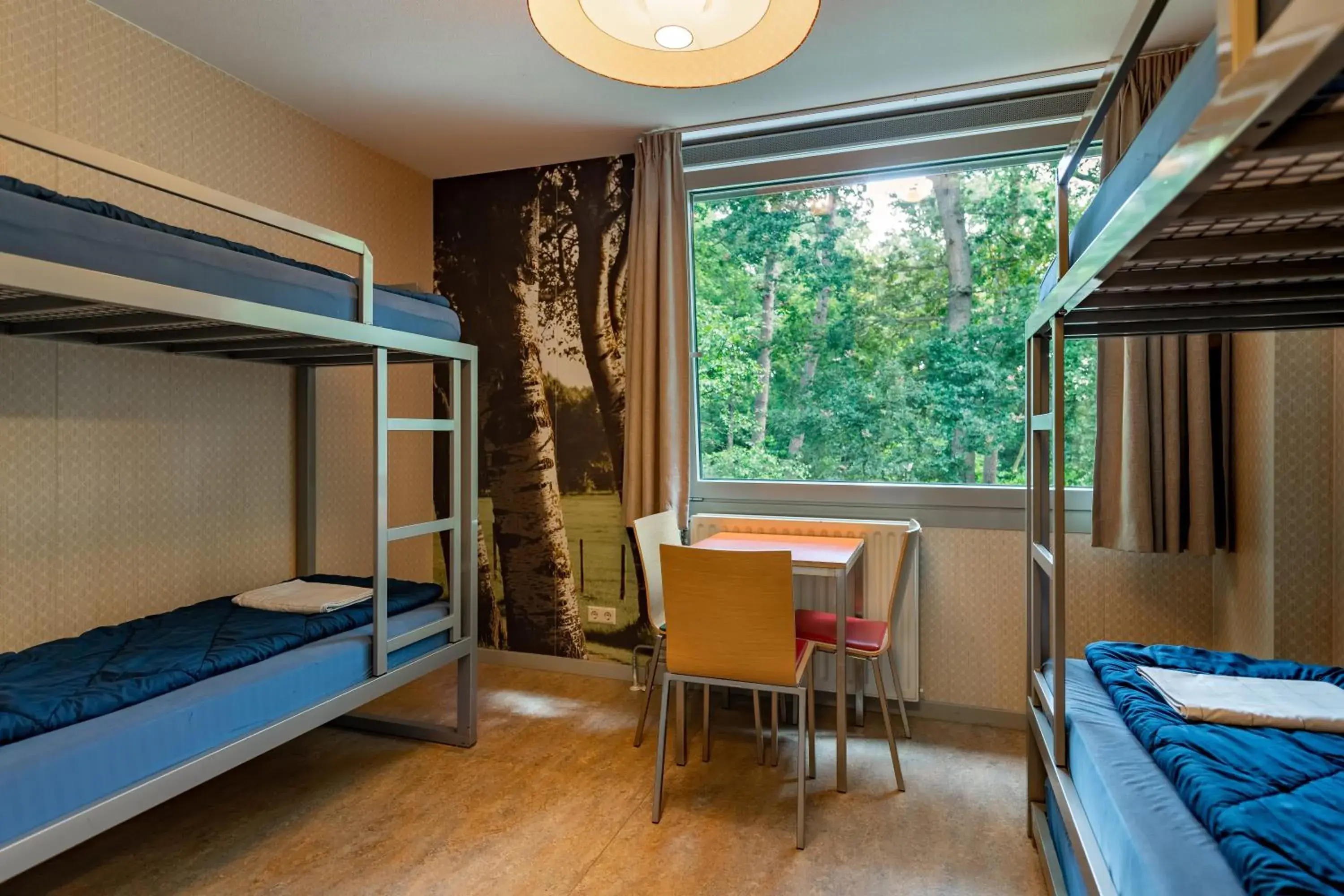 Bedroom, Bunk Bed in Stayokay Soest