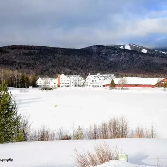 Winter in Snowy Owl Inn