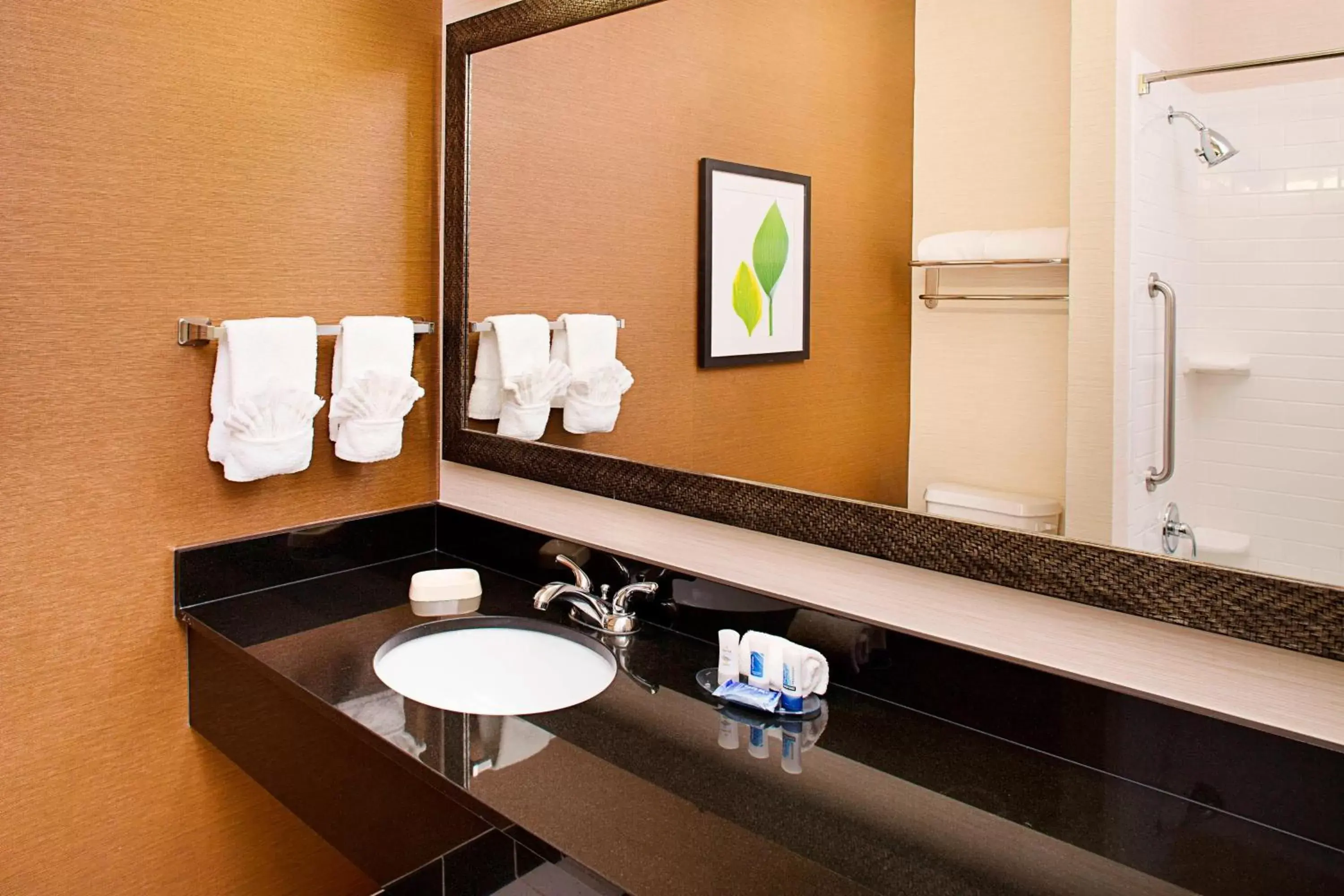 Bathroom in Fairfield Inn & Suites by Marriott San Antonio SeaWorld / Westover Hills