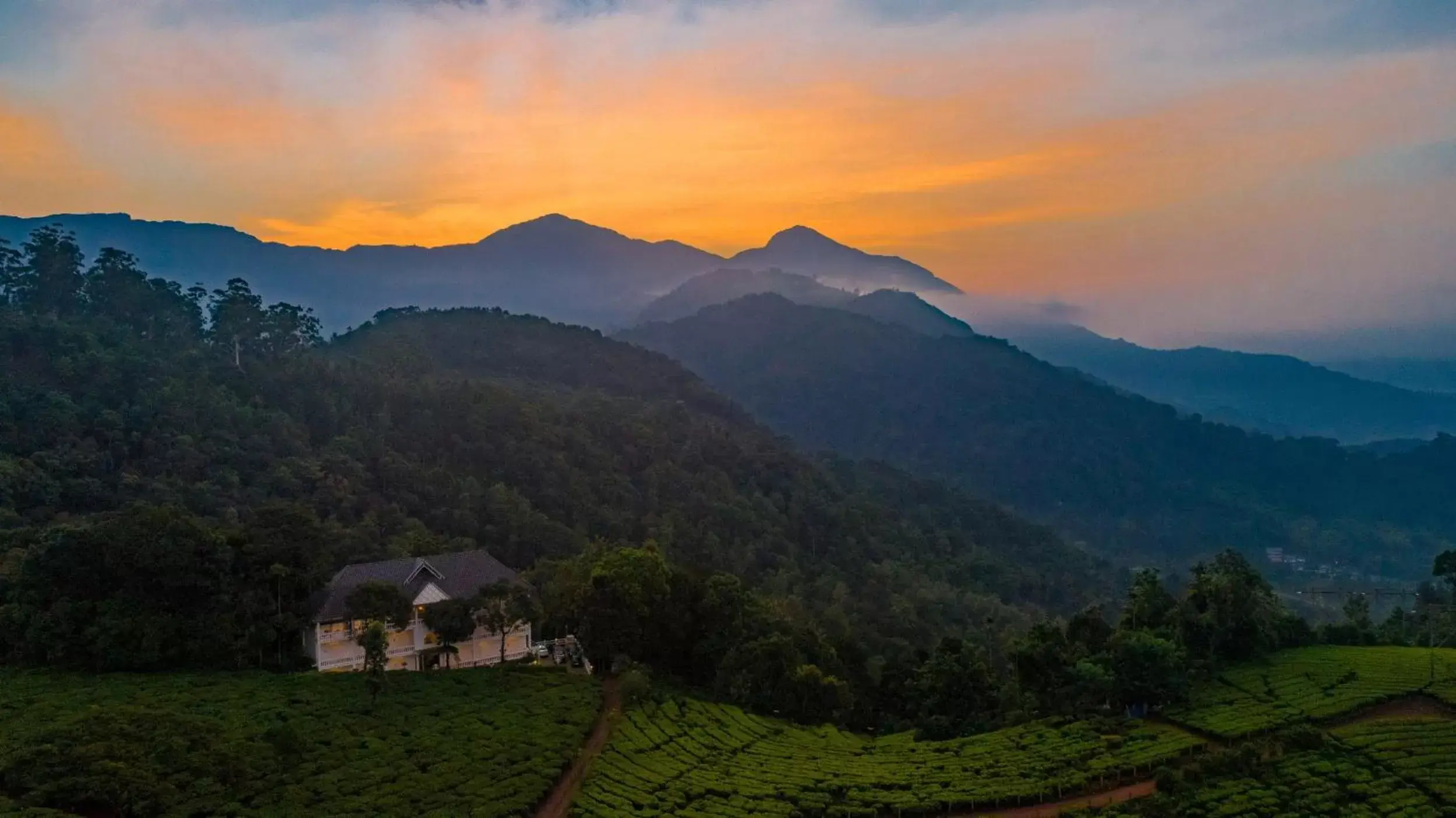 Natural Landscape in Tea Harvester