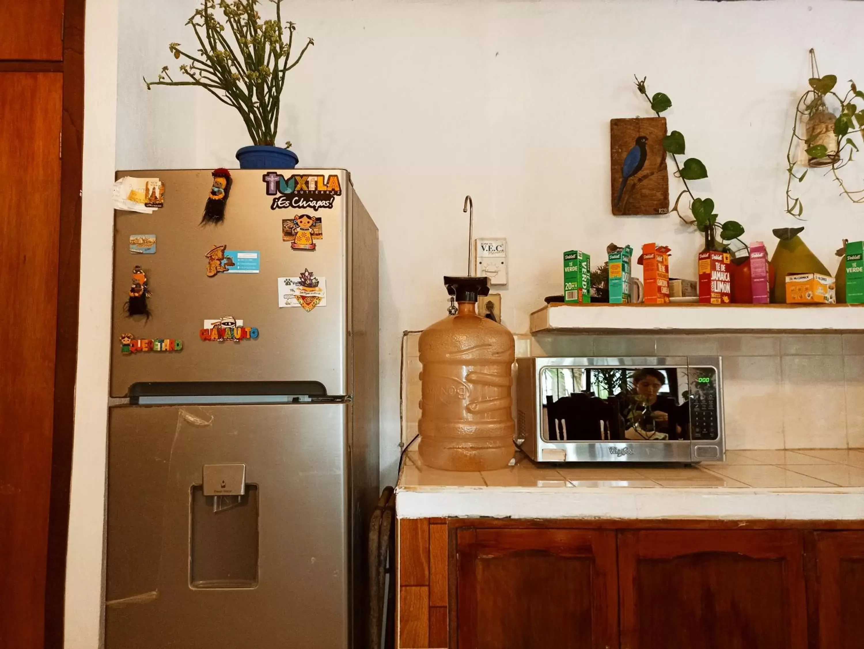 Kitchen/Kitchenette in Casa De Los Pájaros - B&B