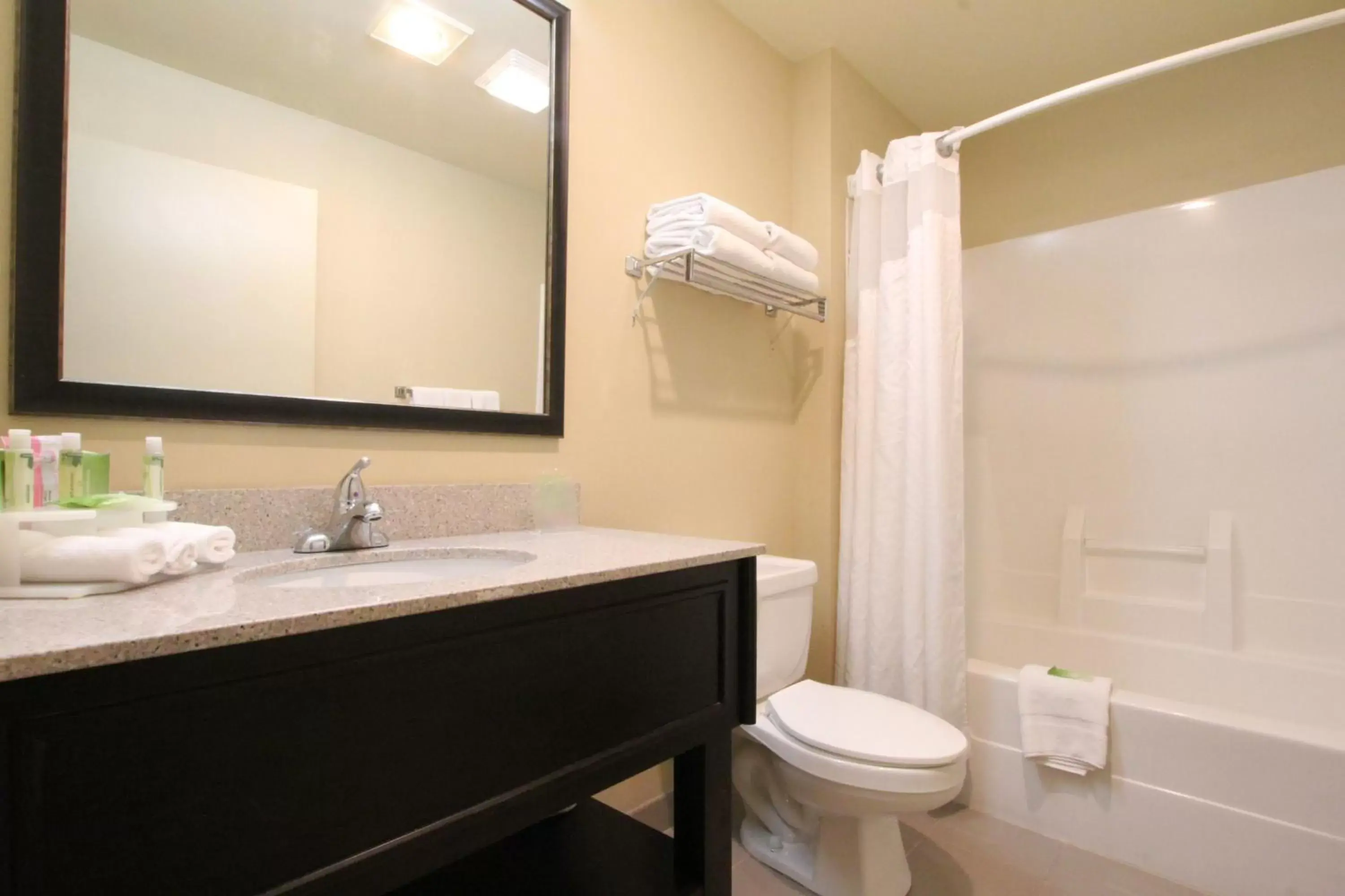 Bathroom in Holiday Inn Express & Suites Chicago-Libertyville, an IHG Hotel
