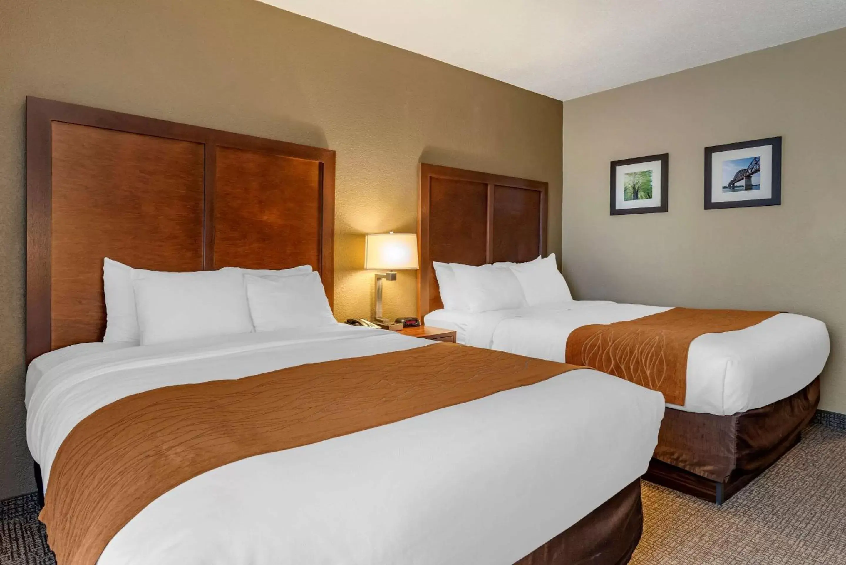Photo of the whole room, Bed in Comfort Inn Madison near Clifty Falls Photo of the whole room, Bed in Comfort Inn Madison near Clifty Falls