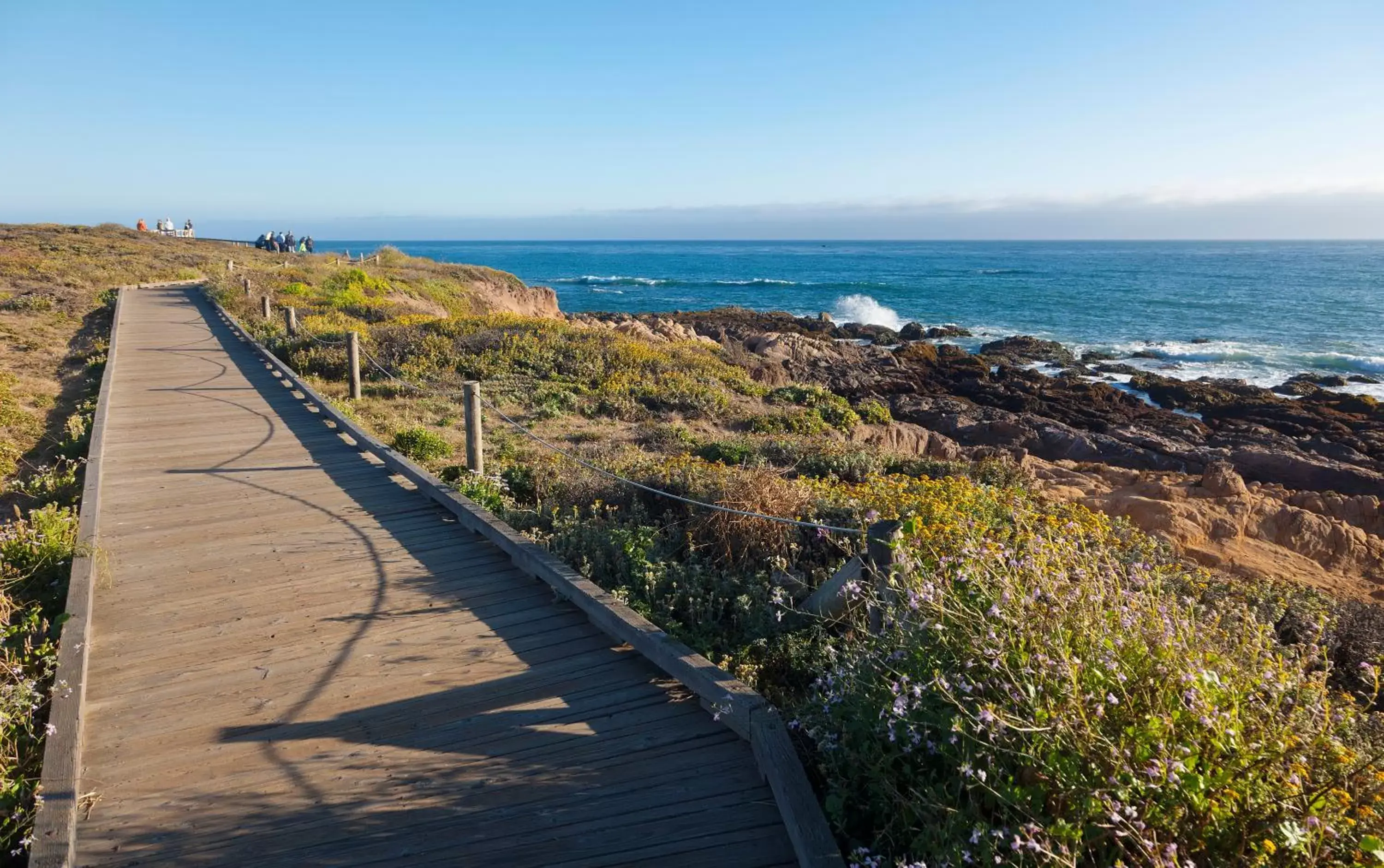 Sea view, Beach in Pelican Inn & Suites