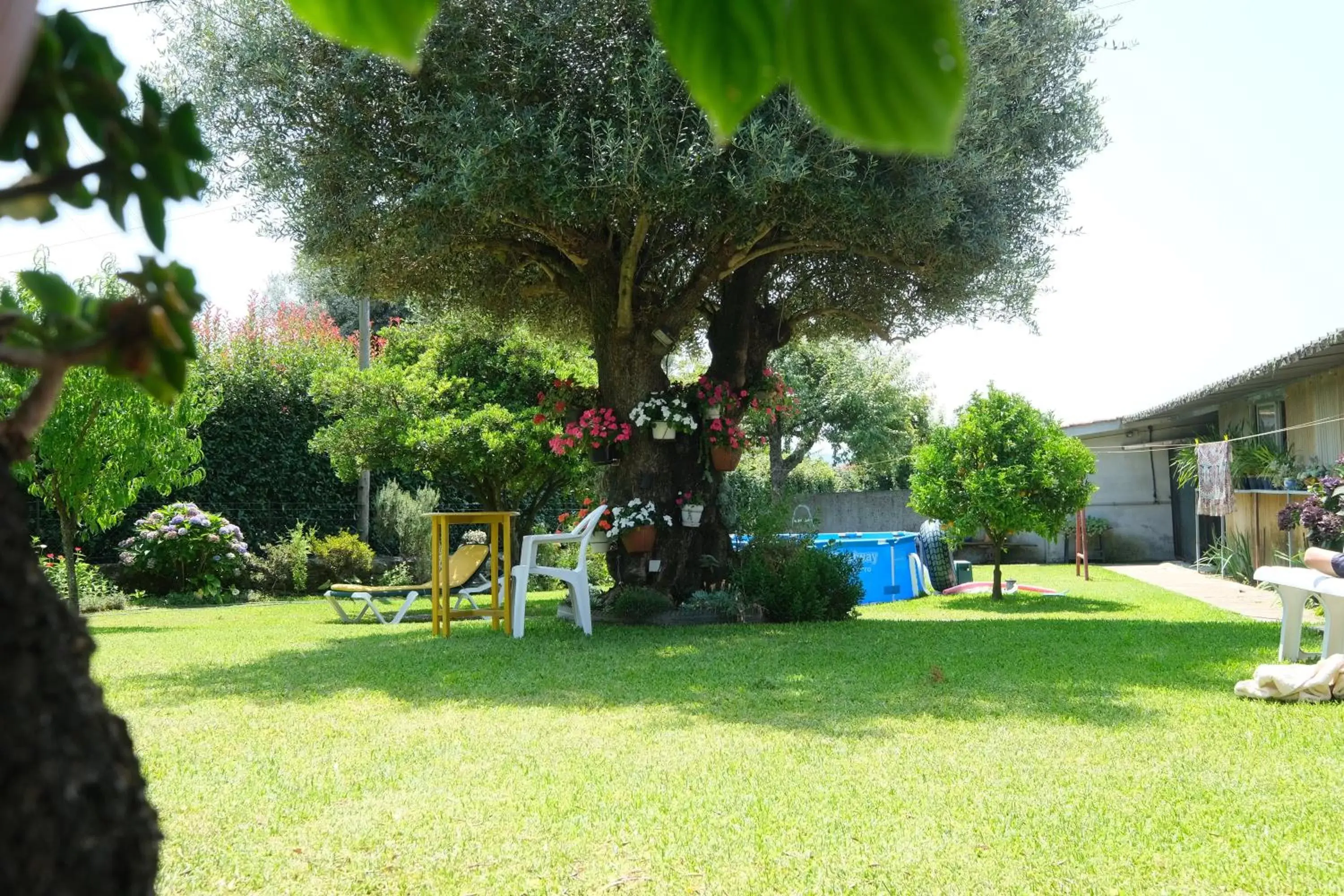 Garden in Quintinha d´Avó